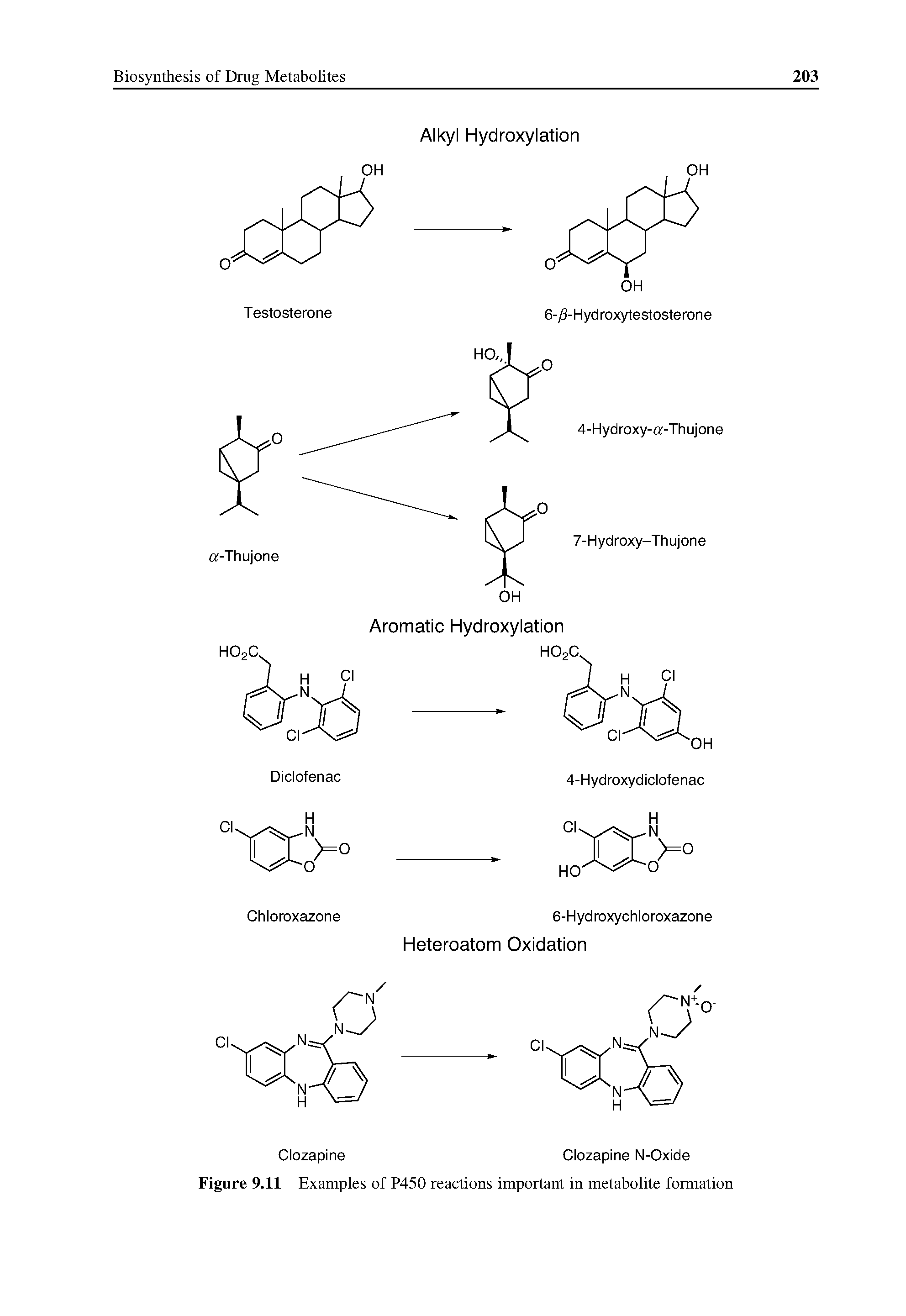 Figure 9.11 Examples of P450 reactions important in metabolite formation...