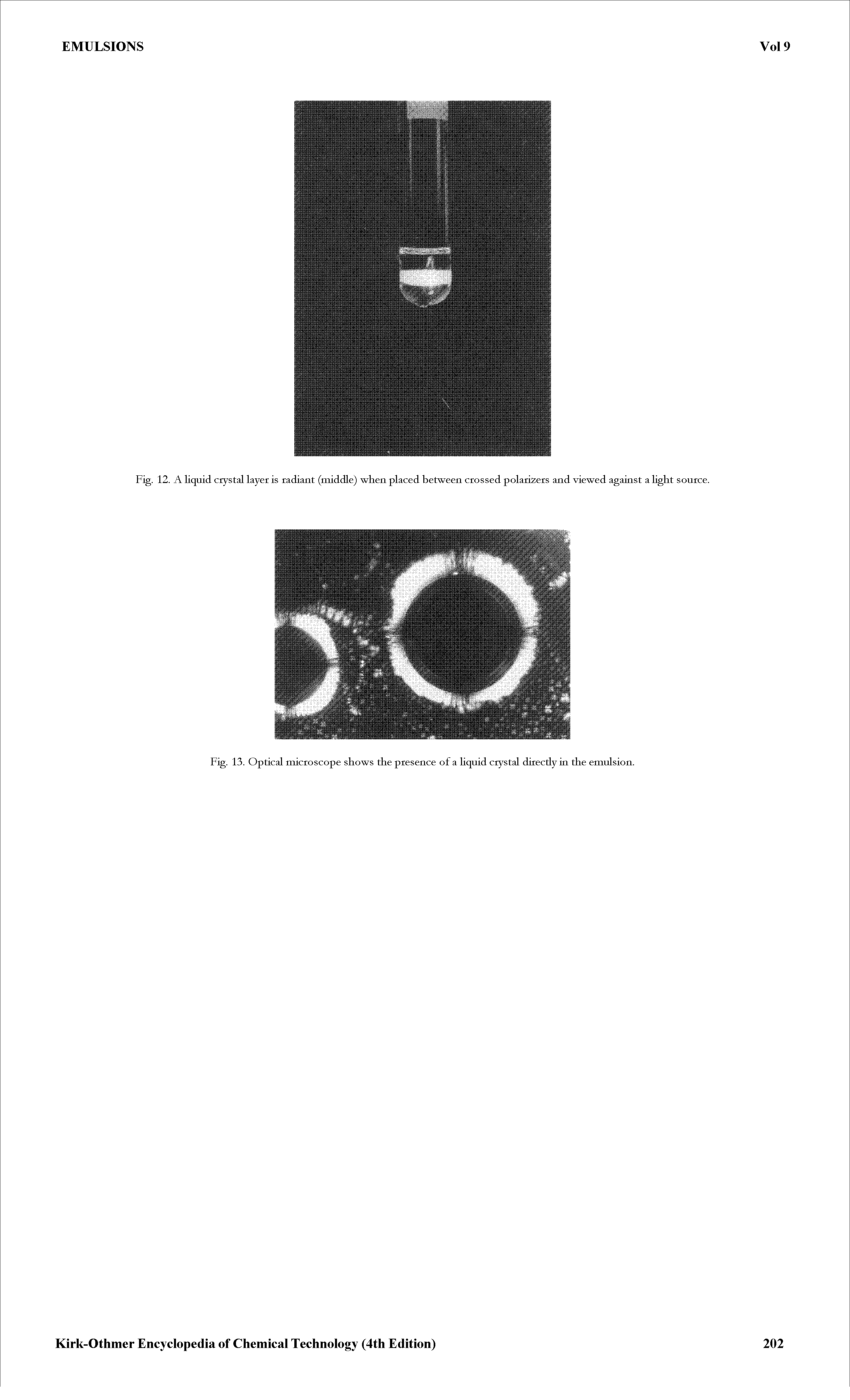 Fig. 13. Optical microscope shows the presence of a Hquid crystal direcdy ia the emulsion.