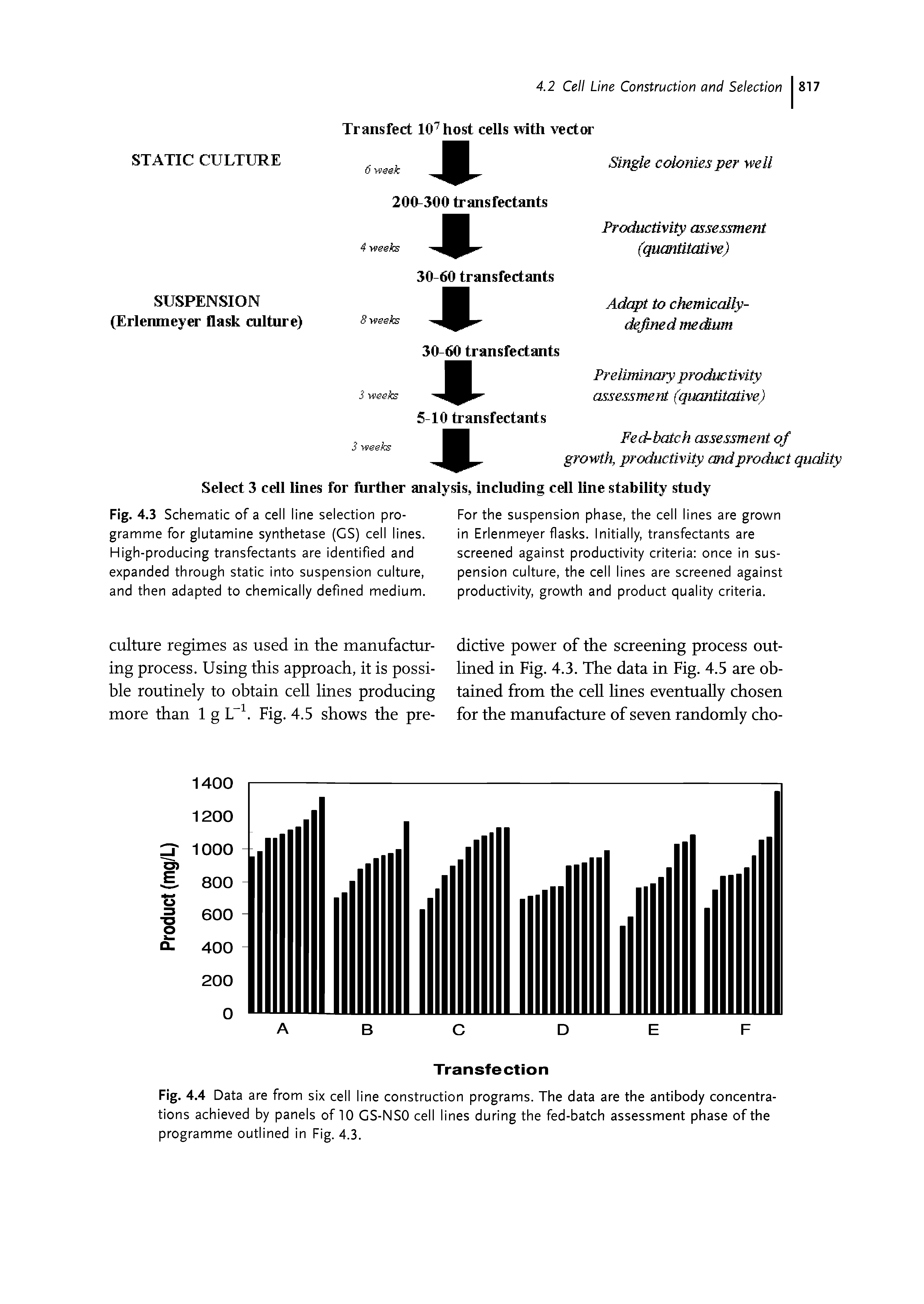 Fig. 4.3 Schematic of a cell line selection programme for glutamine synthetase (GS) cell lines. High-producing transfectants are identified and expanded through static into suspension culture, and then adapted to chemically defined medium.