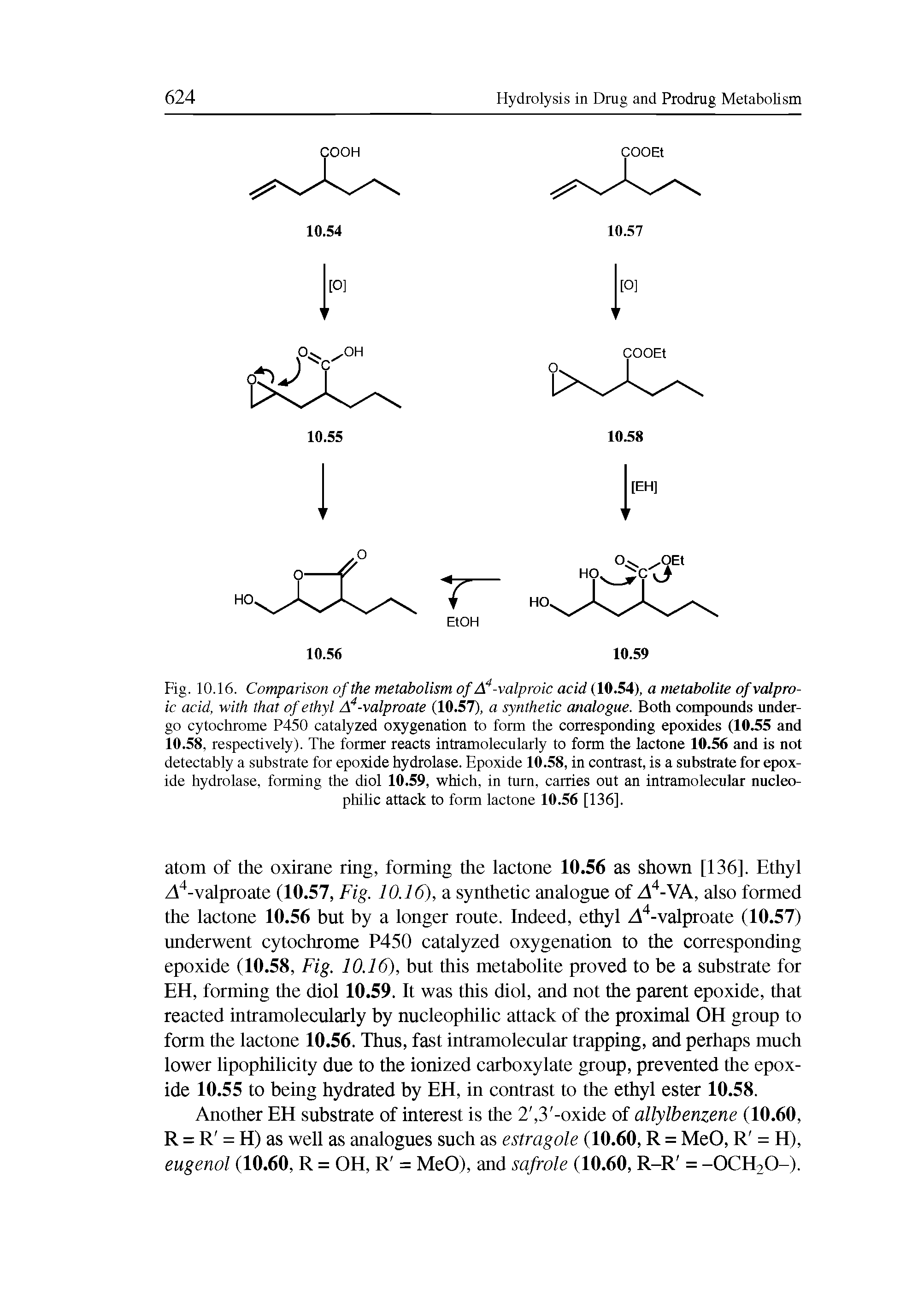 Fig. 10.16. Comparison of the metabolism of A4-valproic acid (10.54), a metabolite of valproic acid, with that of ethyl A4-valproate (10.57), a synthetic analogue. Both compounds undergo cytochrome P450 catalyzed oxygenation to form the corresponding epoxides (10.55 and 10.58, respectively). The former reacts intramolecularly to form the lactone 10.56 and is not detectably a substrate for epoxide hydrolase. Epoxide 10.58, in contrast, is a substrate for epoxide hydrolase, forming the diol 10.59, which, in turn, carries out an intramolecular nucleophilic attack to form lactone 10.56 [136],...