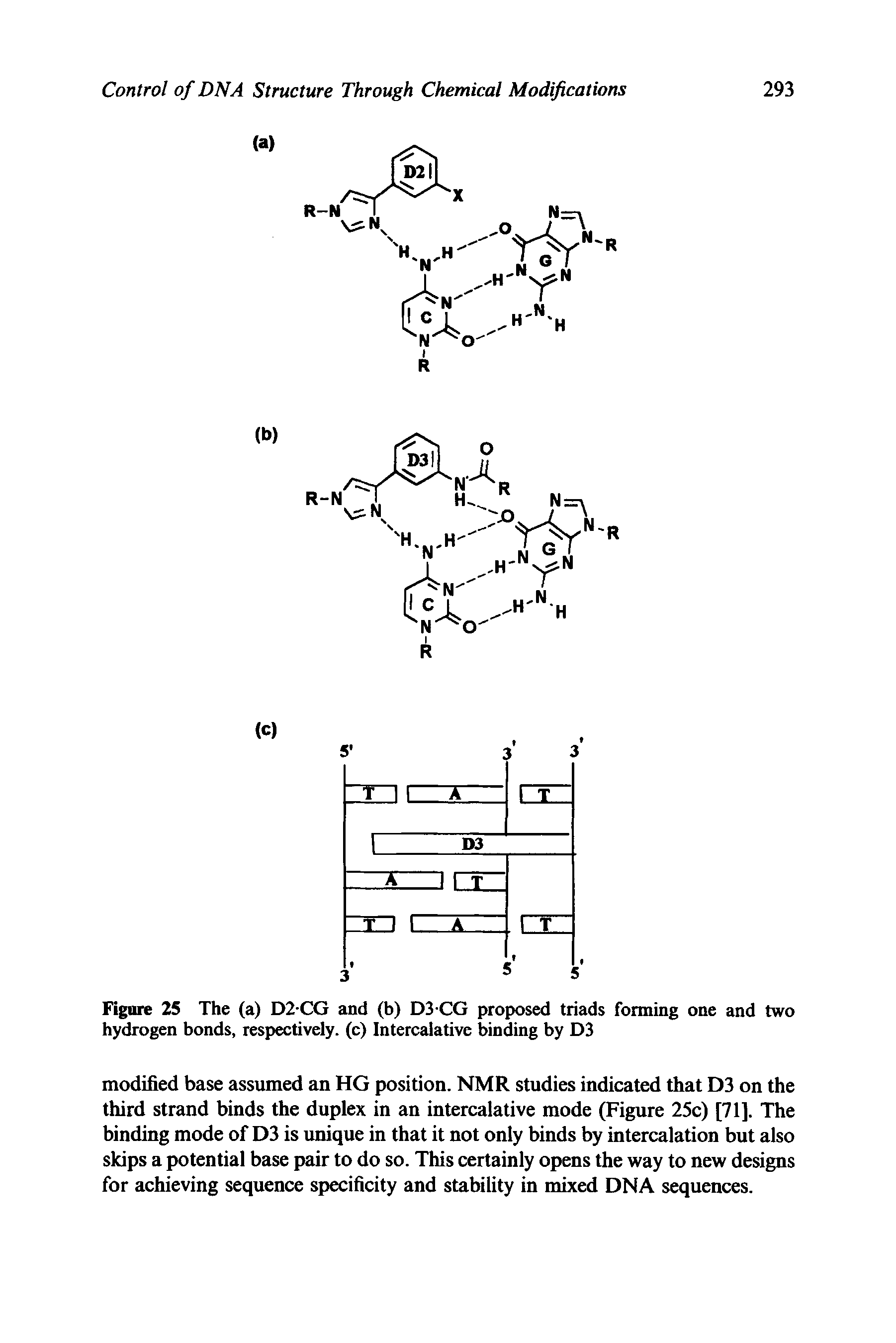 Figure 25 The (a) D2 CG and (b) D3 CG proposed triads forming one and two hydrogen bonds, respectively, (c) Intercalative binding by D3...