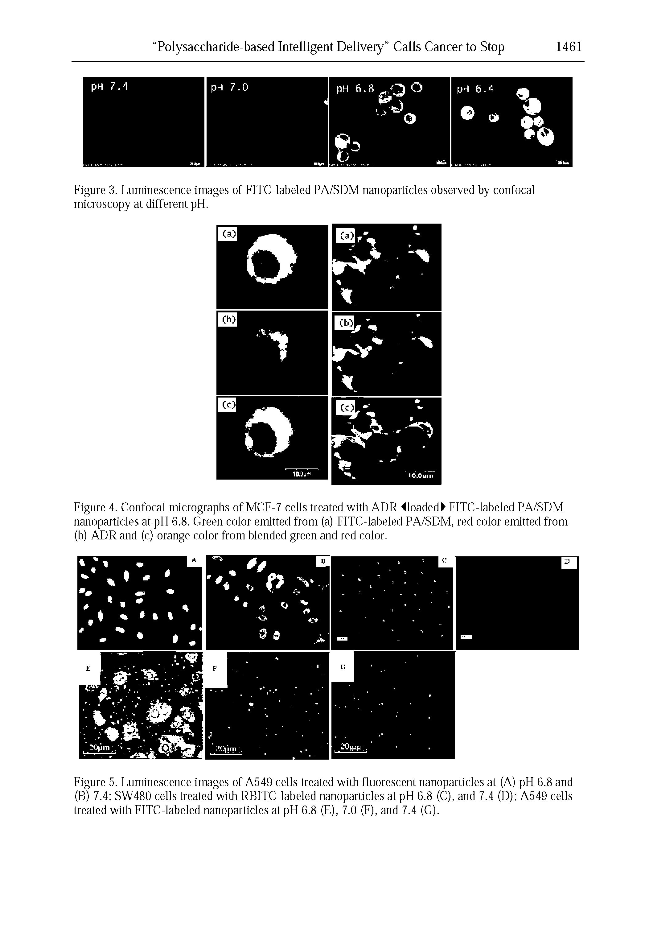 Figure 3. Luminescence Images of FITC-labeled PA/SDM nanoparticles observed by confocal microscopy at different pff.