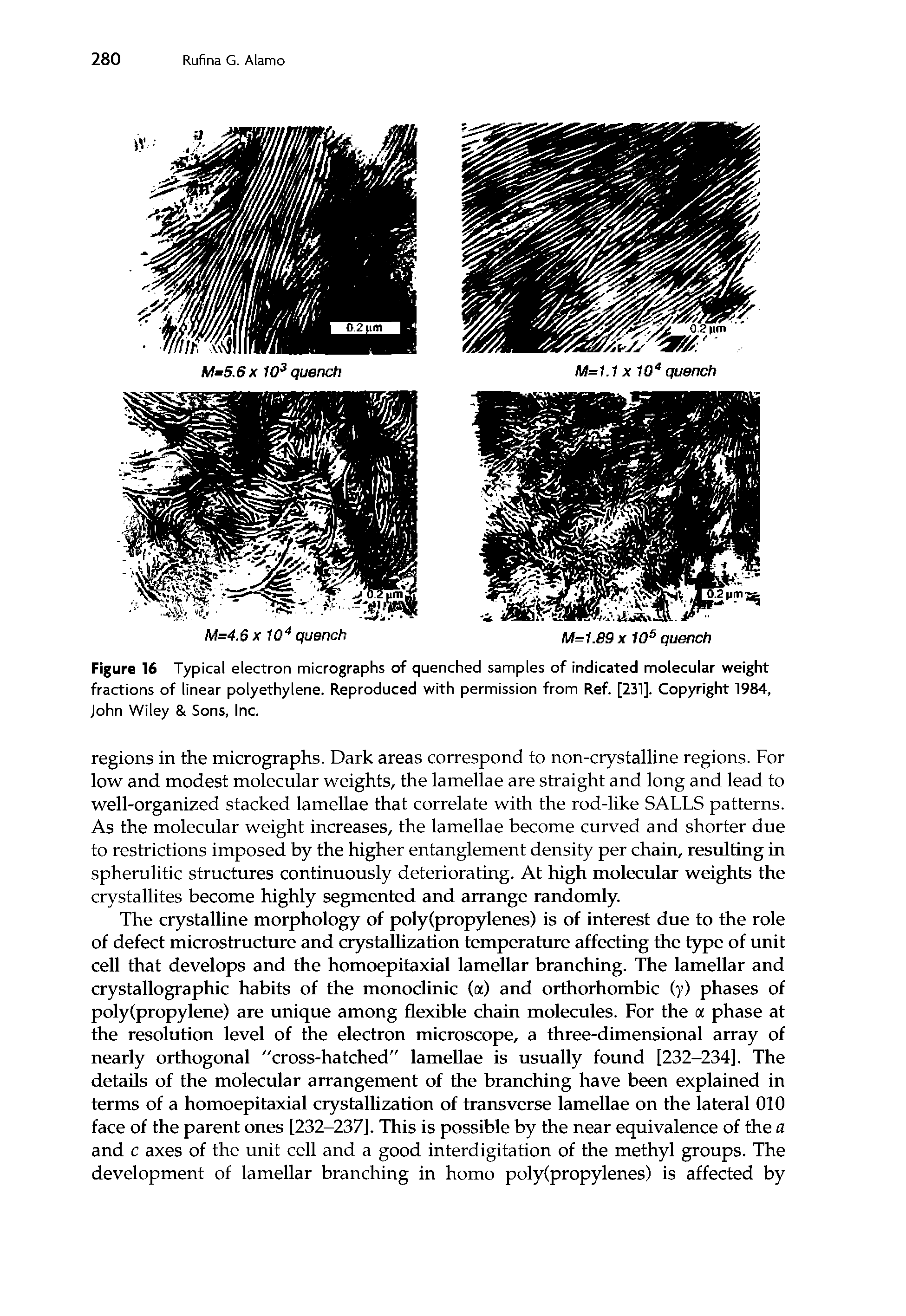 Figure 16 Typical electron micrographs of quenched samples of indicated molecular weight fractions of linear polyethylene. Reproduced with permission from Ref. [231]. Copyright 1984, John Wiley 8t Sons, Inc.