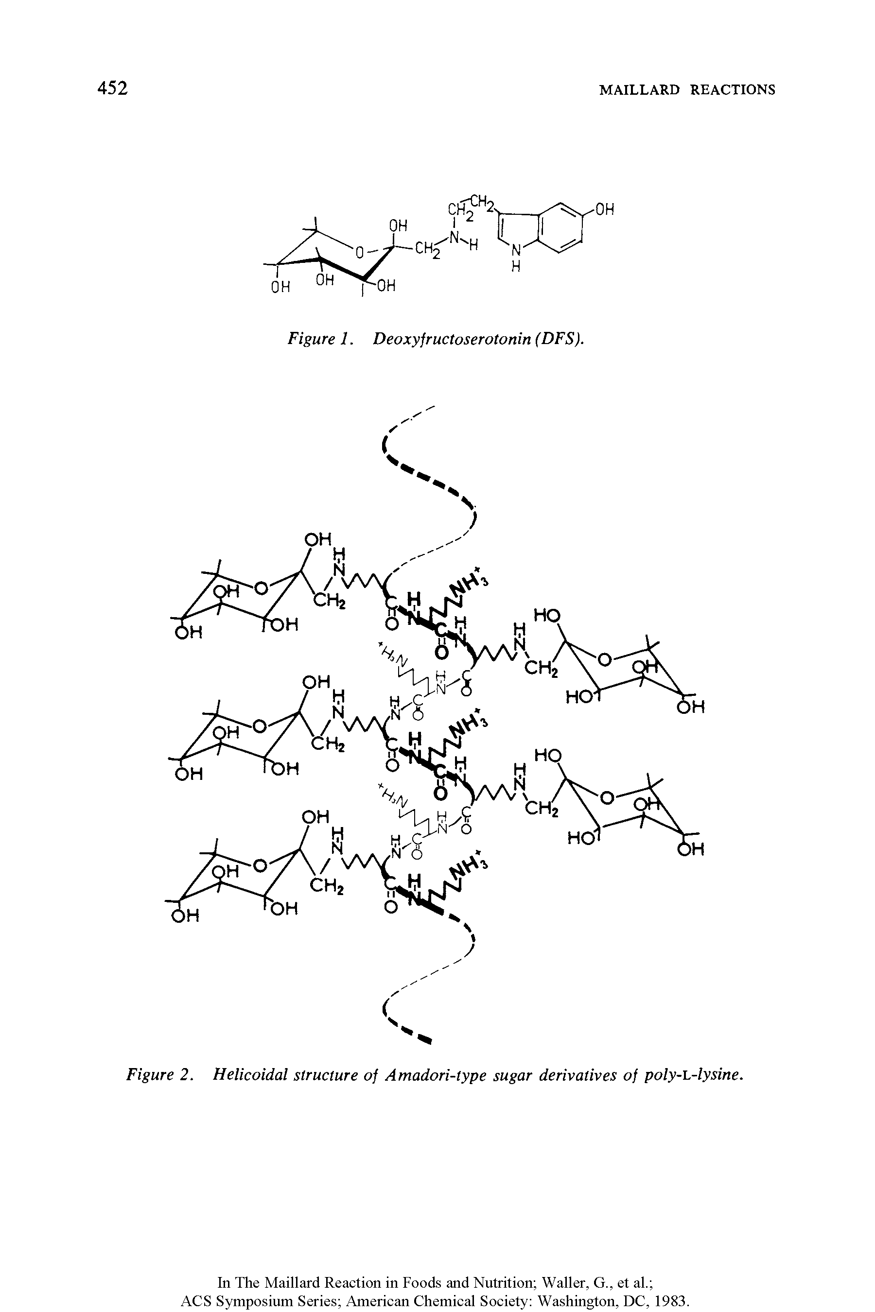 Figure 2. Helicoidal structure of Amadori-lype sugar derivatives of poly-L-lysine.