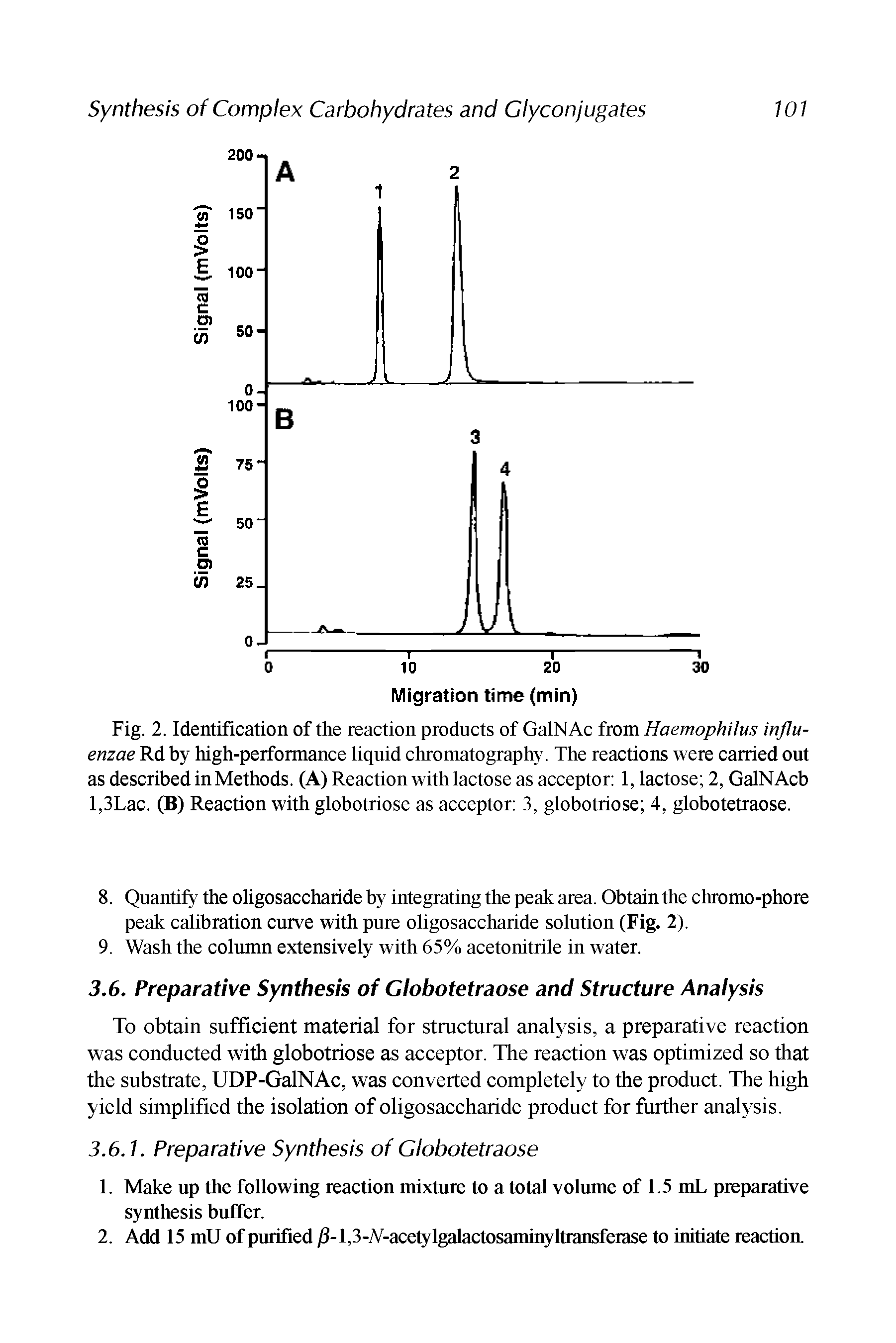 Fig. 2. Identification of the reaction products of GalNAc from Haemophilus influenzae Rd by high-performance liquid chromatography. The reactions were carried out as described in Methods. (A) Reaction with lactose as acceptor 1, lactose 2, GalNAcb l,3Lac. (B) Reaction with globotriose as acceptor 3, globotriose 4, globotetraose.