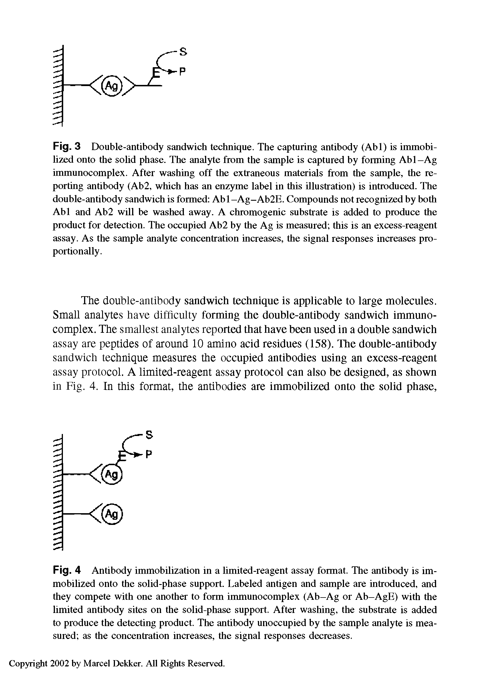 Fig. 3 Double-antibody sandwich technique. The capturing antibody (Abl) is immobilized onto the solid phase. The analyte from the sample is captured by forming Abl-Ag immunocomplex. After washing off the extraneous materials from the sample, the reporting antibody (Ab2, which has an enzyme label in this illustration) is introduced. The double-antibody sandwich is formed Abl-Ag-Ab2E. Compounds not recognized by both Abl and Ab2 will be washed away. A chromogenic substrate is added to produce the product for detection. The occupied Ab2 by the Ag is measured this is an excess-reagent assay. As the sample analyte concentration increases, the signal responses increases proportionally.