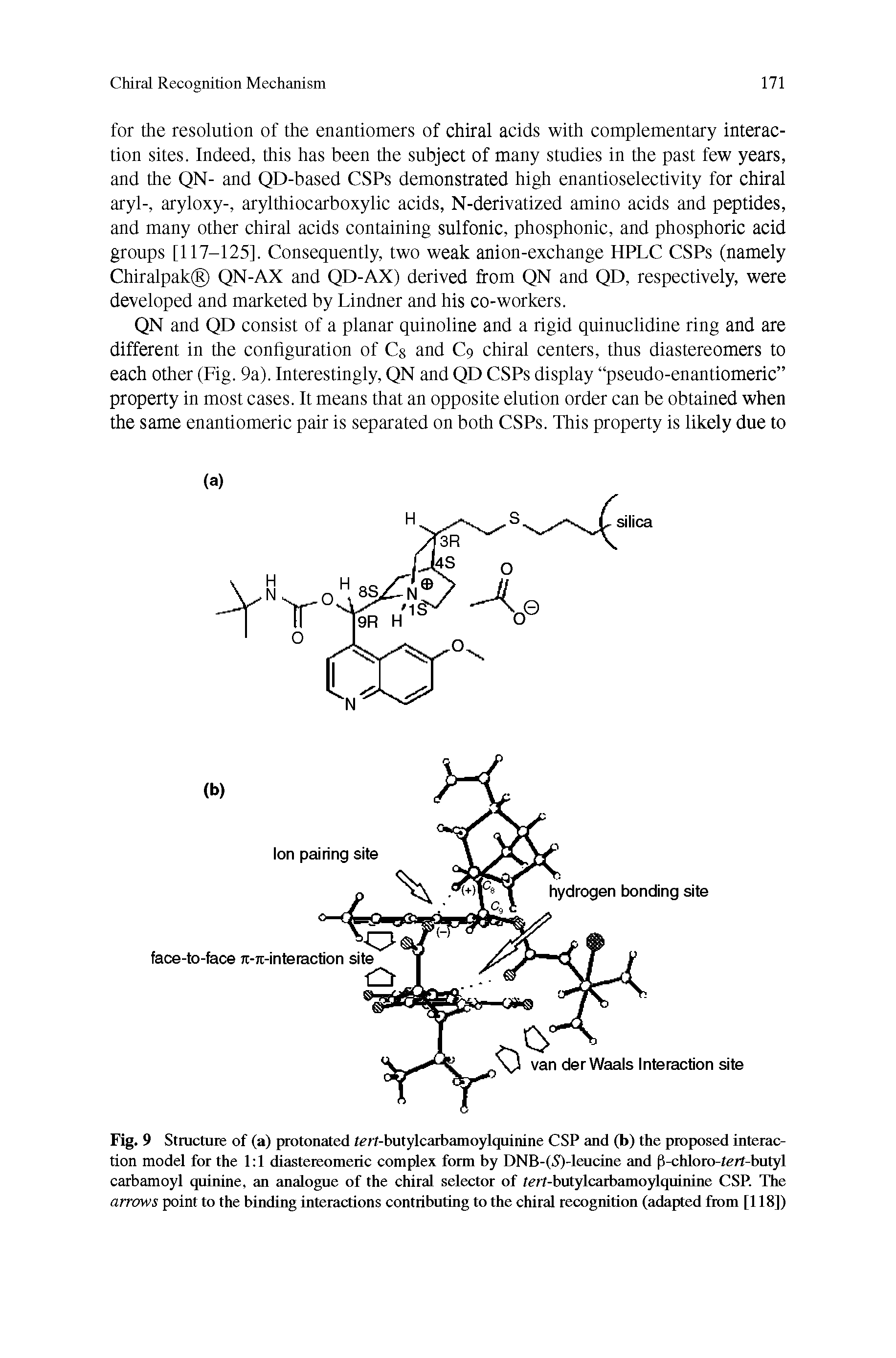 Fig. 9 Structure of (a) protonated t rt-butylcarbamoylquinine CSP and (b) the proposed interaction model for the 1 1 diastereomeric complex form by DNB-(5)-leucine and P-chloro-tert-butyl carbamoyl quinine, an analogue of the chirtil selector of /ert-butylcarbamoylquinine CSP. The arrows point to the binding interactions contributing to the chiral recognition (adapted from [118])...