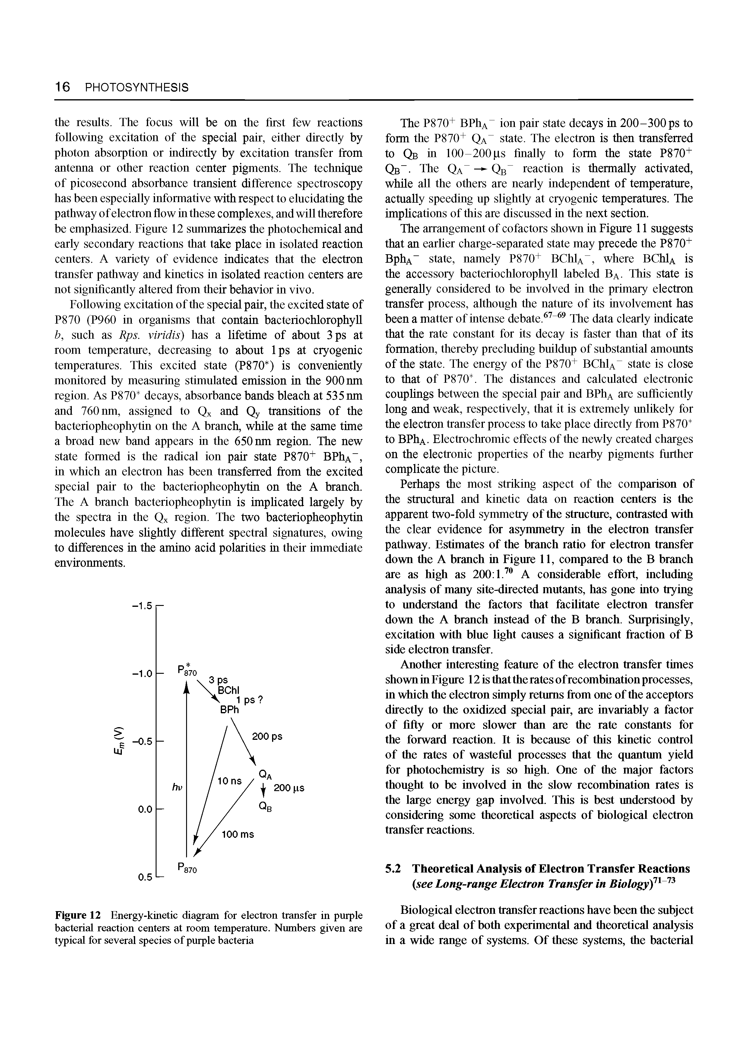 Figure 12 Energy-kinetic diagram for electron transfer in purple bacterial reaction centers at room temperature. Numbers given are typical for several species of purple bacteria...