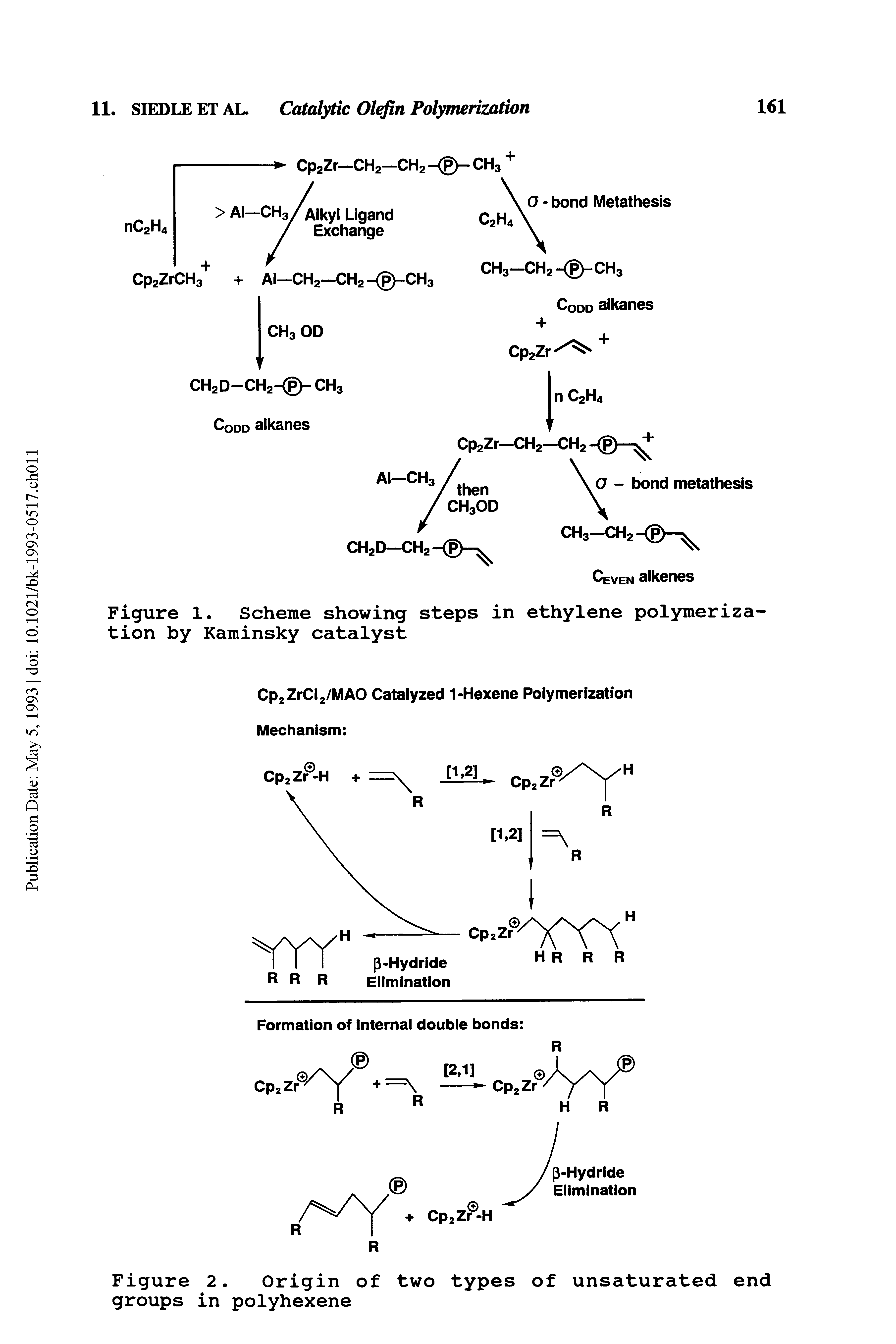 Figure 2. Origin of two types of unsaturated end groups in polyhexene...