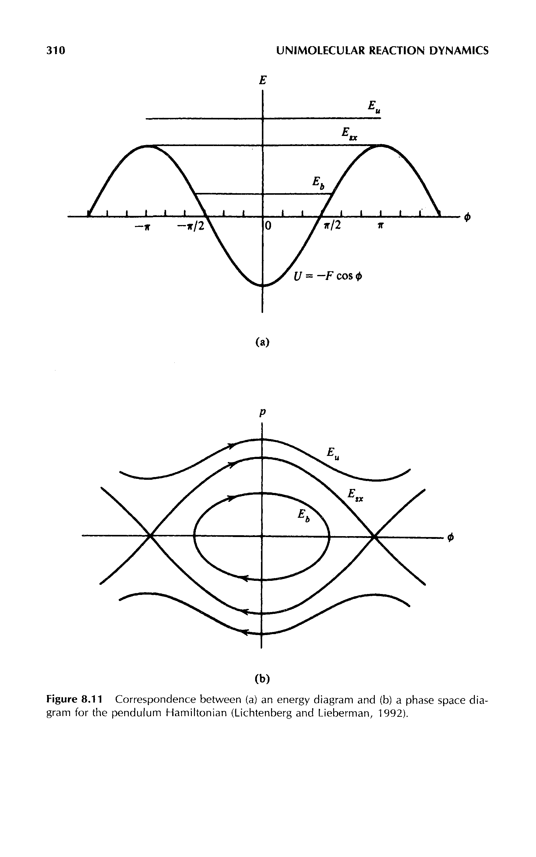 Figure 8.11 Correspondence between (a) an energy diagram and (b) a phase space diagram for the pendulum Hamiltonian (Lichtenberg and Lieberman, 1992).
