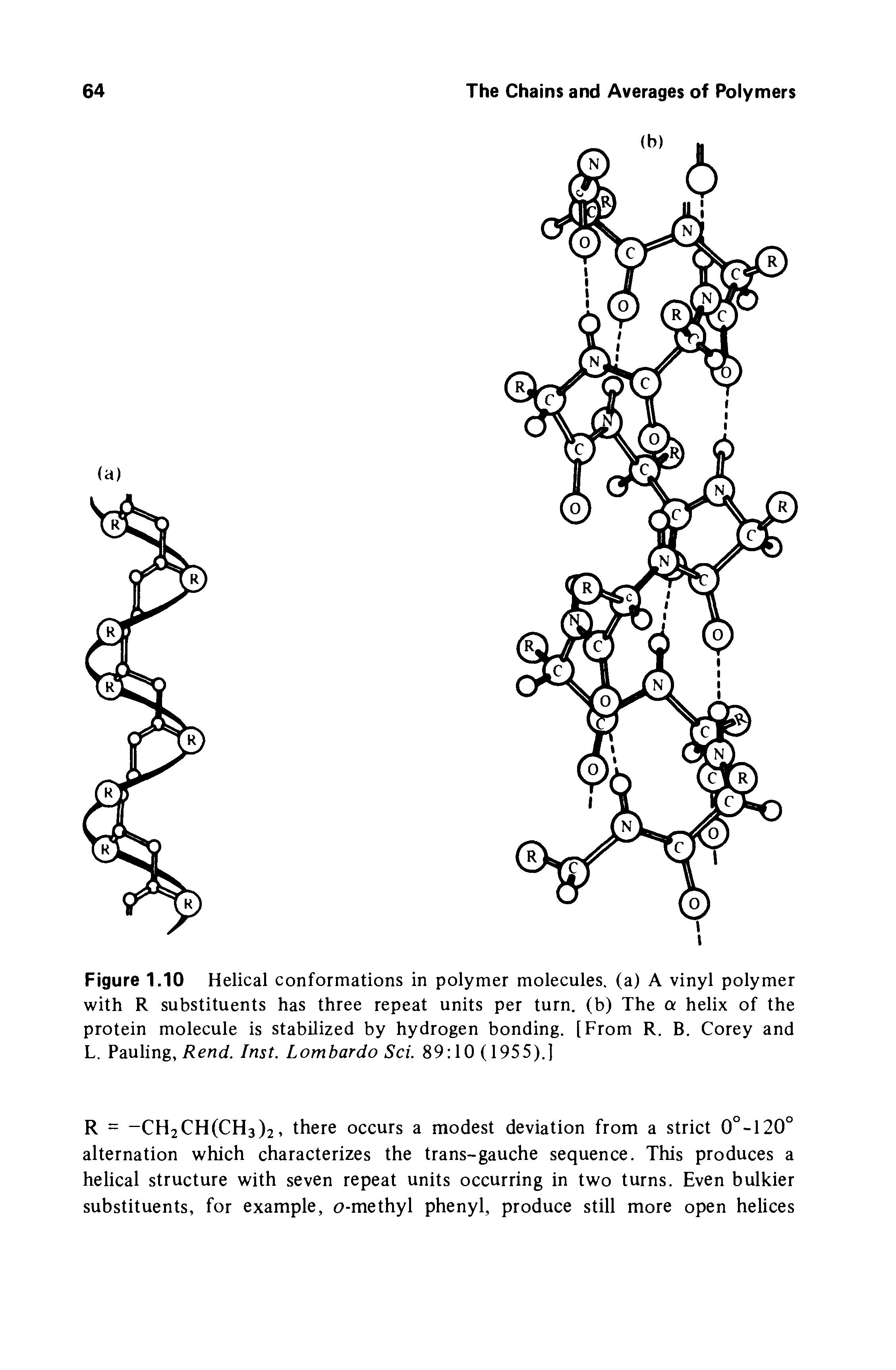 Figure 1.10 Helical conformations in polymer molecules, (a) A vinyl polymer with R substituents has three repeat units per turn, (b) The a helix of the protein molecule is stabilized by hydrogen bonding. [From R. B. Corey and L. Pauling,/ end. Inst. Lombardo Sci. 89 10 (1955).]...