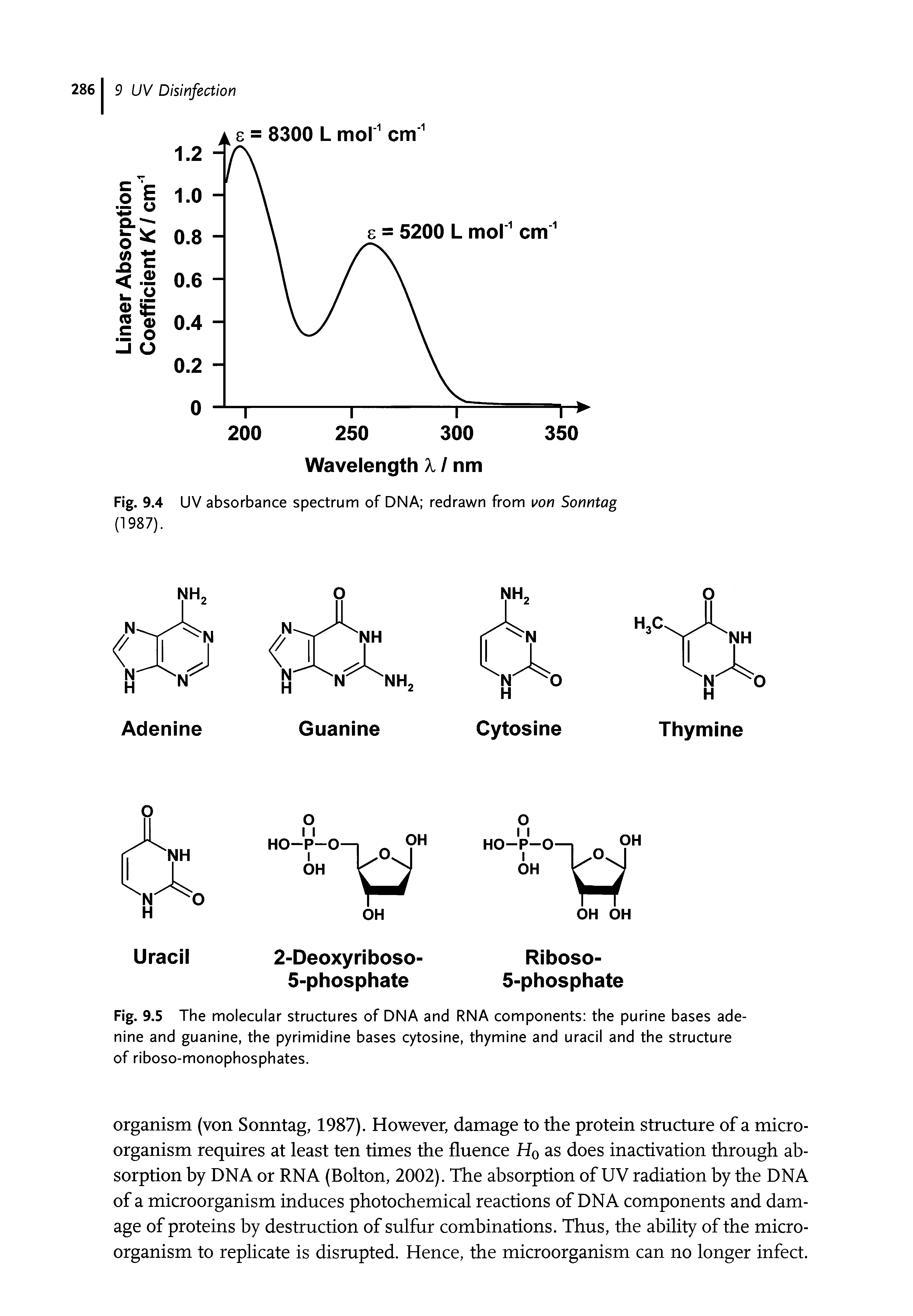 Fig. 9.5 The molecular structures of DNA and RNA components the purine bases adenine and guanine, the pyrimidine bases cytosine, thymine and uracil and the structure of riboso-monophosphates.