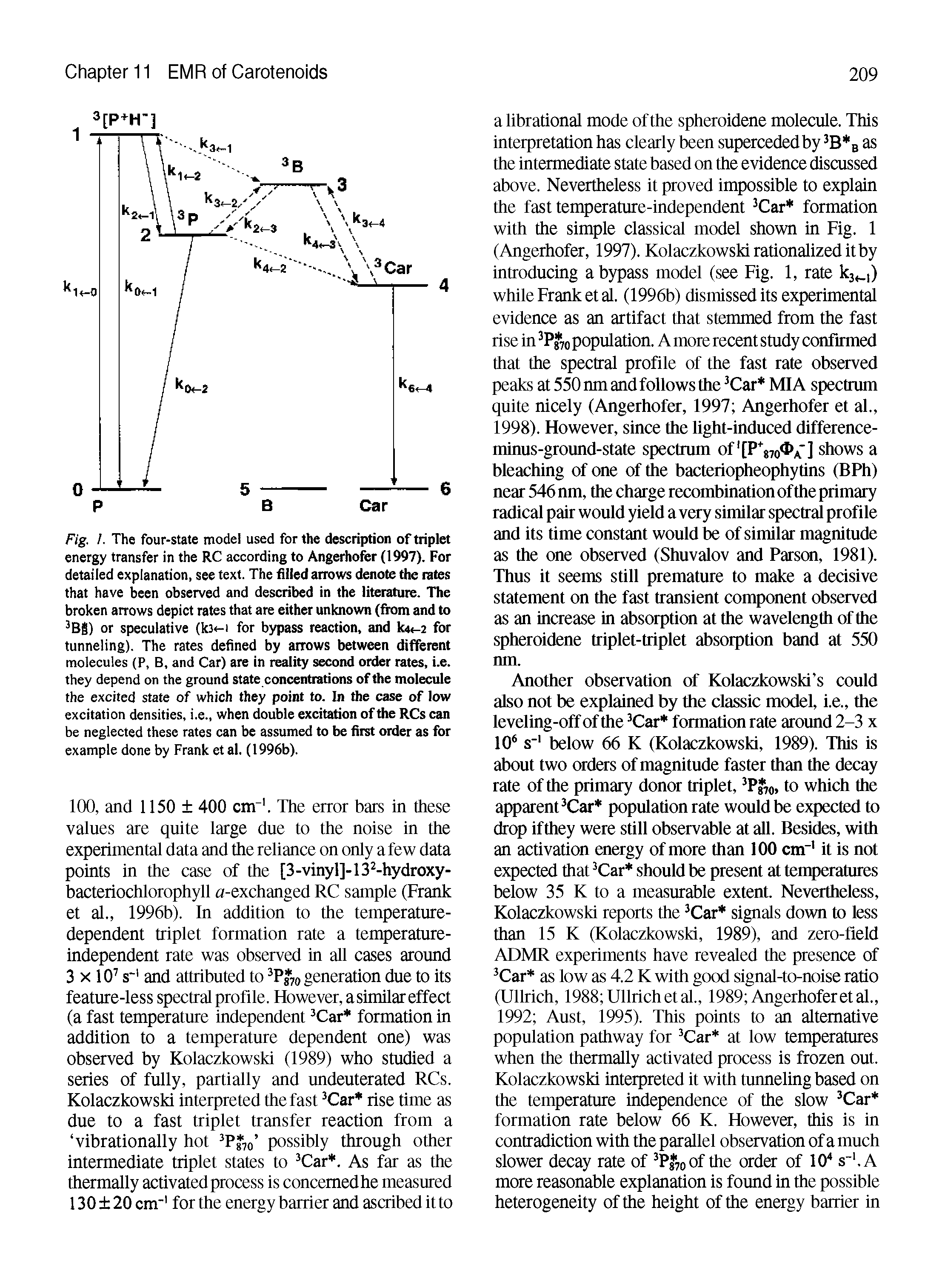 Fig. /. The four-state model used for the description of triplet energy transfer in the RC according to Angerhofer (1997). For detailed explanation, see text. The filled arrows denote the rates that have been observed and described in the literature. The broken arrows depict rates that are either unknown (from and to BS) or speculative (k3 -i for bypass reaction, and k4 -2 for tunneling). The rates defined by arrows between different molecules (P, B, and Car) are in reality second order rates, i.e. they depend on the ground state concentrations of the molecule the excited state of which they point to. In the case of low excitation densities, i.e., when double excitation of the RCs can be neglected these rates can be assumed to be first order as for example done by Frank et al. (1996b).
