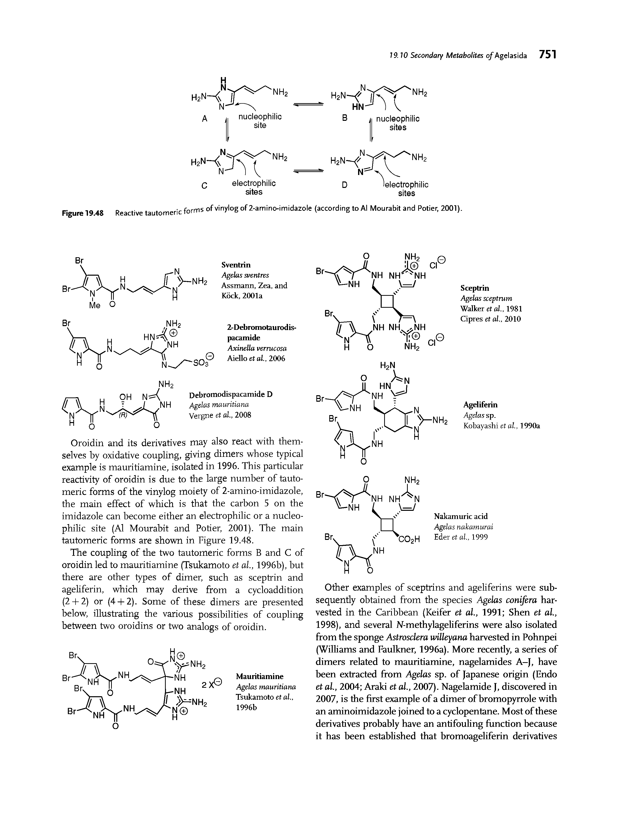 Figure 19.48 Reactive tautomeric forms of vinylog of 2-amino-imidazole (according to Al Mourabit and Potier 2001).