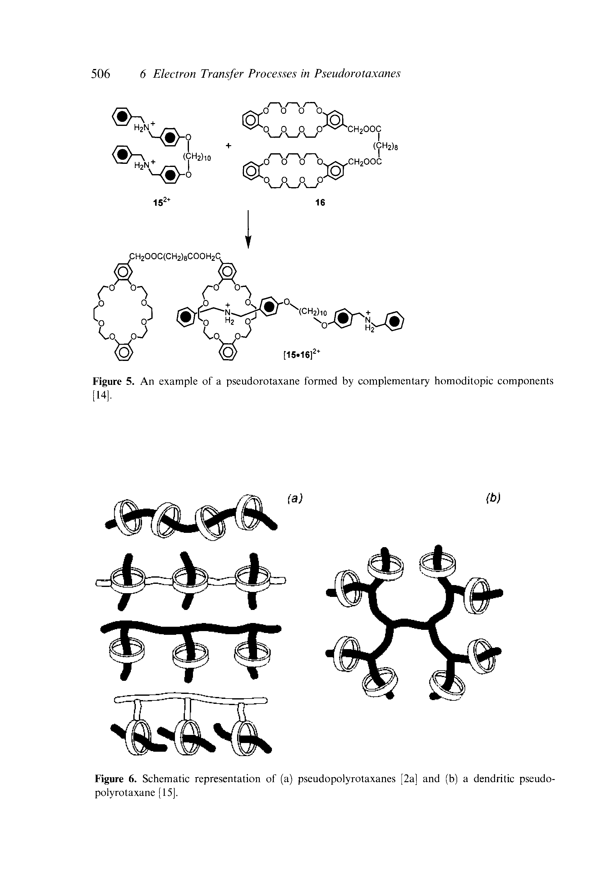 Figure 6. Schematic representation of (a) pseudopolyrotaxanes [2a] and (b) a dendritic pseudo-polyrotaxane [15].
