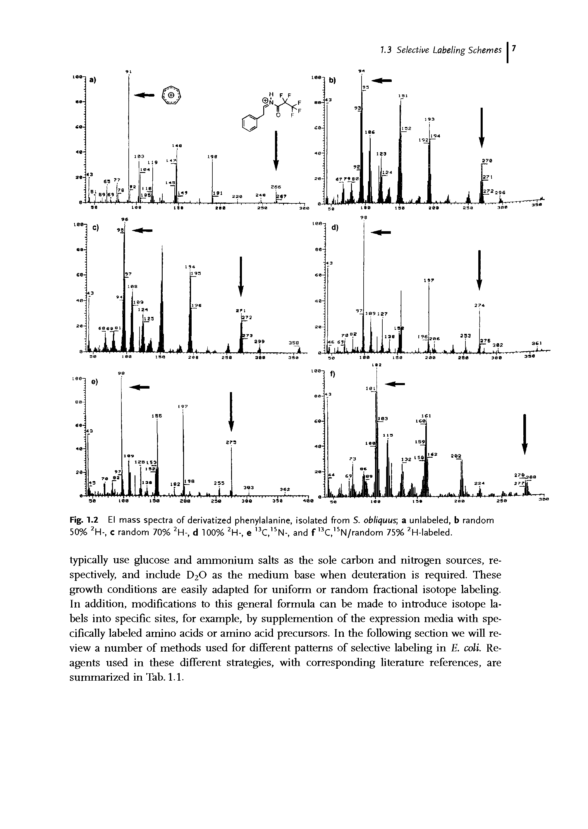 Fig. 1.2 El mass spectra of derivatized phenylalanine, isolated from 5. obliquus a unlabeled, b random 50% 2H-, c random 70% 2H-, d 100% 2H-, e 3C, 5N-, and f 13C, 5N/random 75% 2H-labeled.