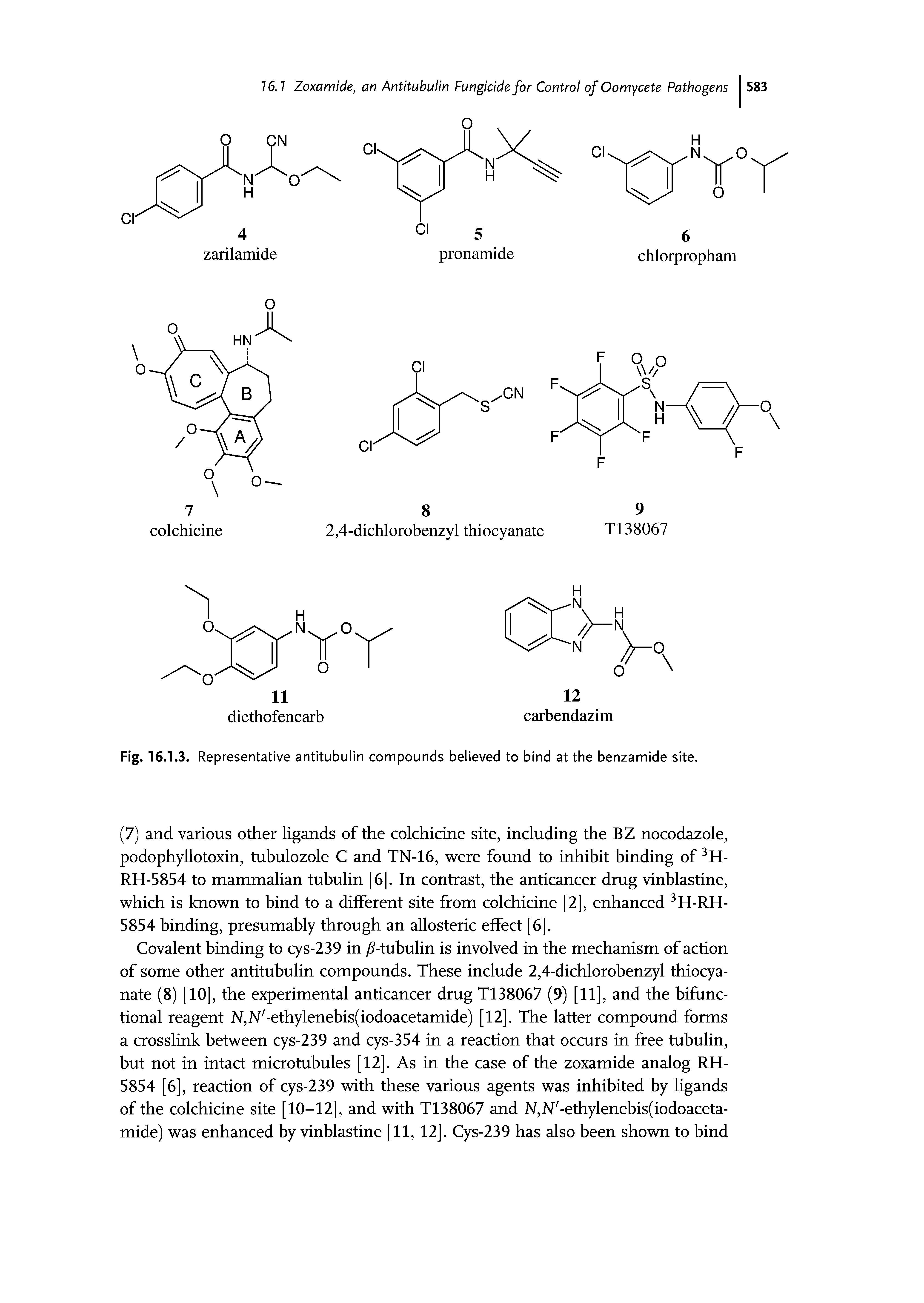 Fig. 16.1.3. Representative antitubulin compounds believed to bind at the benzamide site.