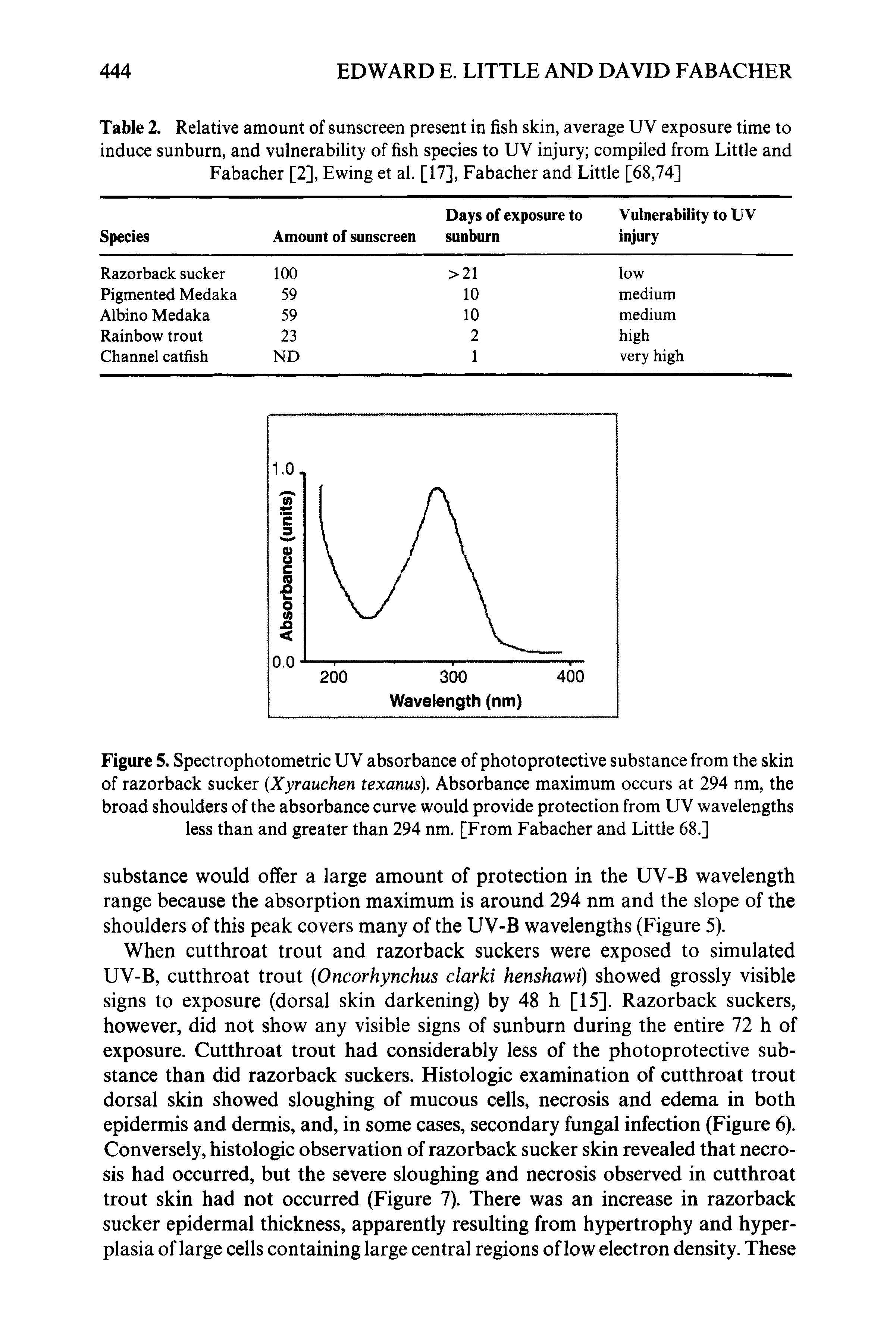 Figure 5. Spectrophotometric UV absorbance of photoprotective substance from the skin of razorback sucker Xyrauchen texanus). Absorbance maximum occurs at 294 nm, the broad shoulders of the absorbance curve would provide protection from UV wavelengths less than and greater than 294 nm. [From Fabacher and Little 68.]...