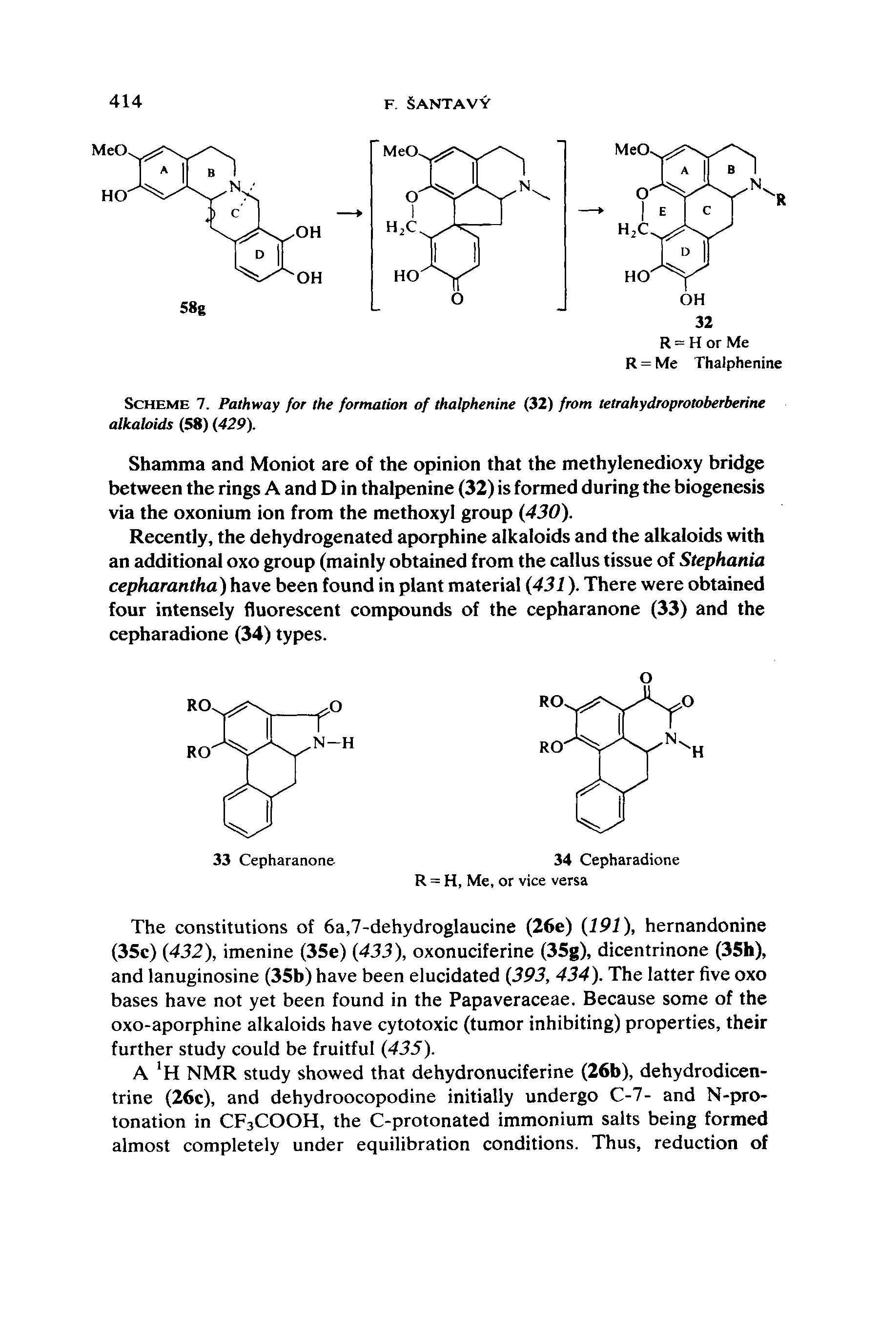 Scheme 7. Pathway for the formation of thalphenine (32) from tetrahydroprotoberberine alkaloids (58) (429).