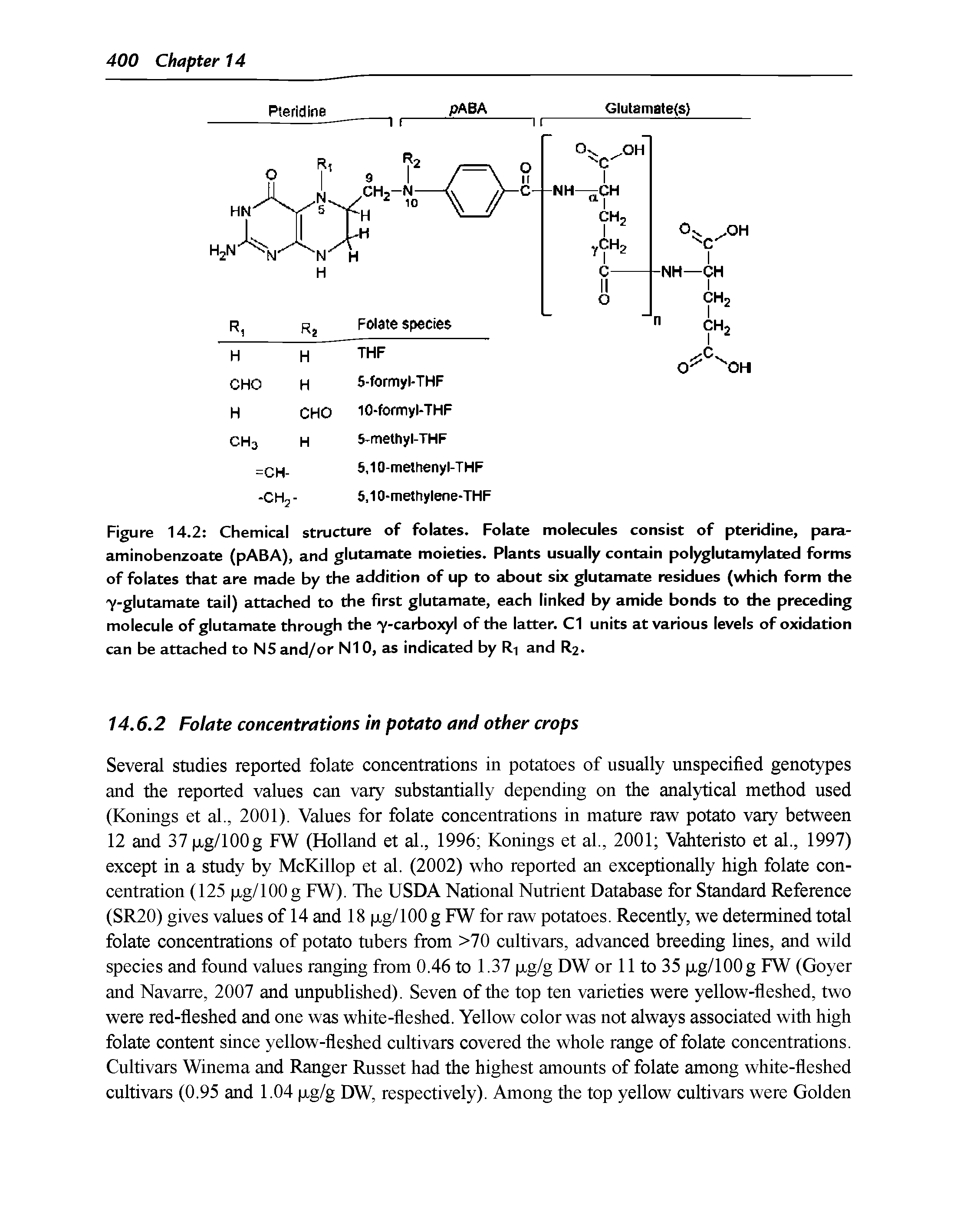 Figure 14.2 Chemical structure of folates. Folate molecules consist of pteridine, para-aminobenzoate (pABA), and glutamate moieties. Plants usually contain polyglutamylated forms of folates that are made by the addition of up to about six glutamate residues (which form the y-glutamate tail) attached to the first glutamate, each linked by amide bonds to the preceding molecule of glutamate through the y-carboxyl of the latter. Cl units at various levels of oxidation can be attached to NS and/or N1 0, as indicated by Ri and R2.