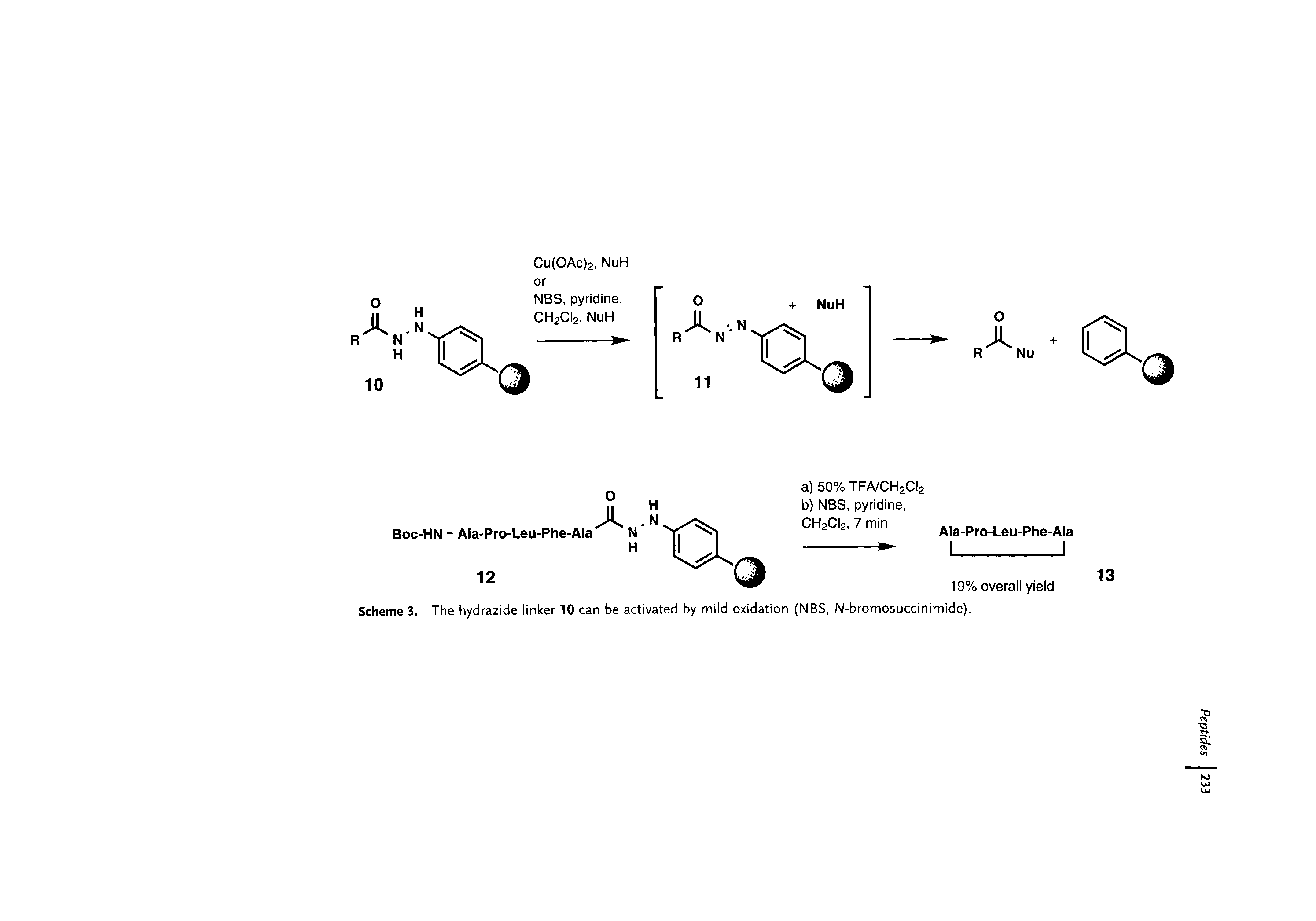 Scheme 3. The hydrazide linker 10 can be activated by mild oxidation (NBS, N-bromosuccinimide).