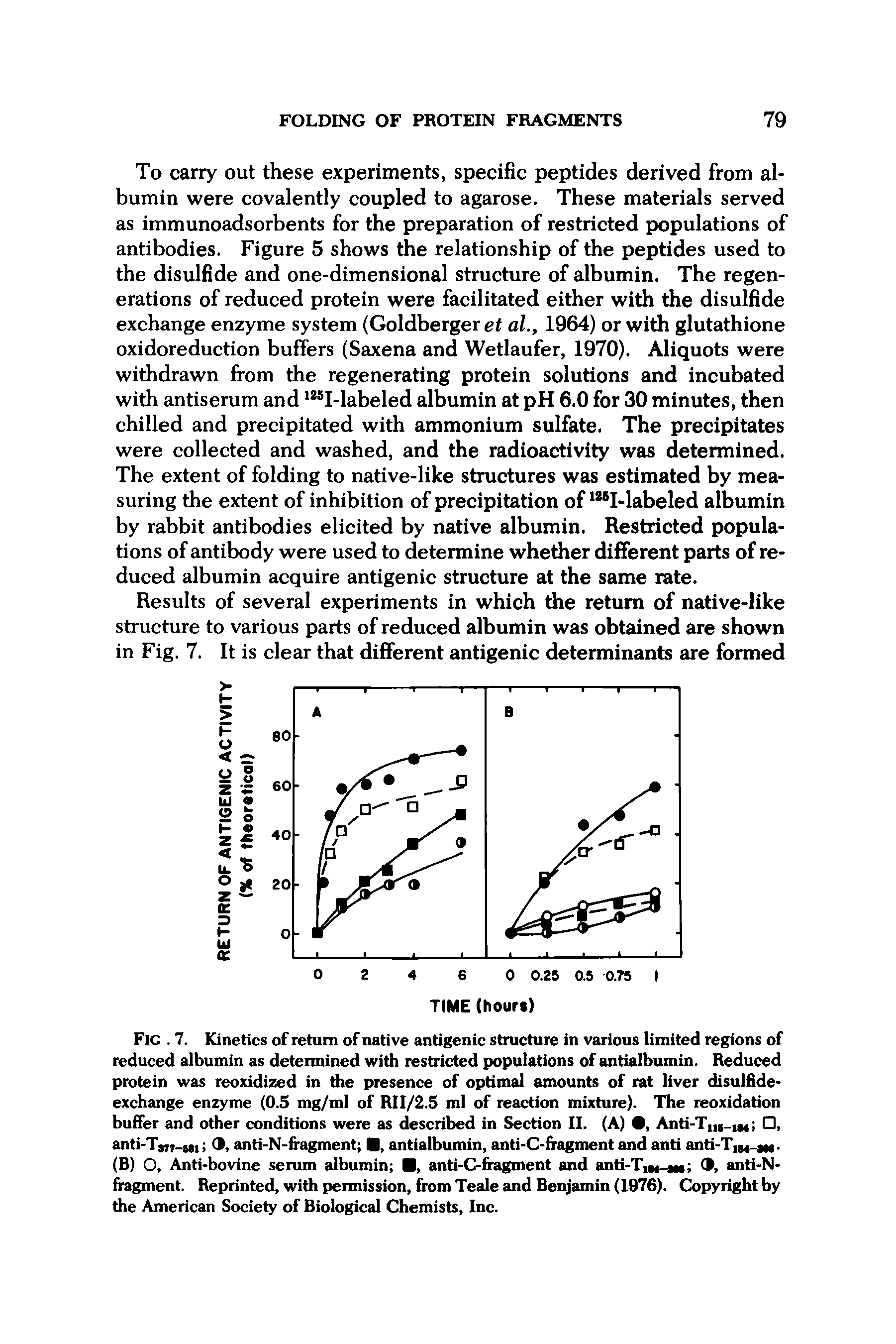 Fig. 7. Kinetics of return of native antigenic structure in various limited regions of reduced albumin as determined with restricted populations of antialbumin. Reduced protein was reoxidized in the presence of optimal amounts of rat liver disulfide-exchange enzyme (0.5 mg/ml of RII/2.5 ml of reaction mixture). The reoxidation buffer and other conditions were as described in Section II. (A) 0, Anti-T 5 1M , anti- Tstt-mi anti-N-fragment antialbumin, anti-C-ffagment and anti anti-T,M, j.