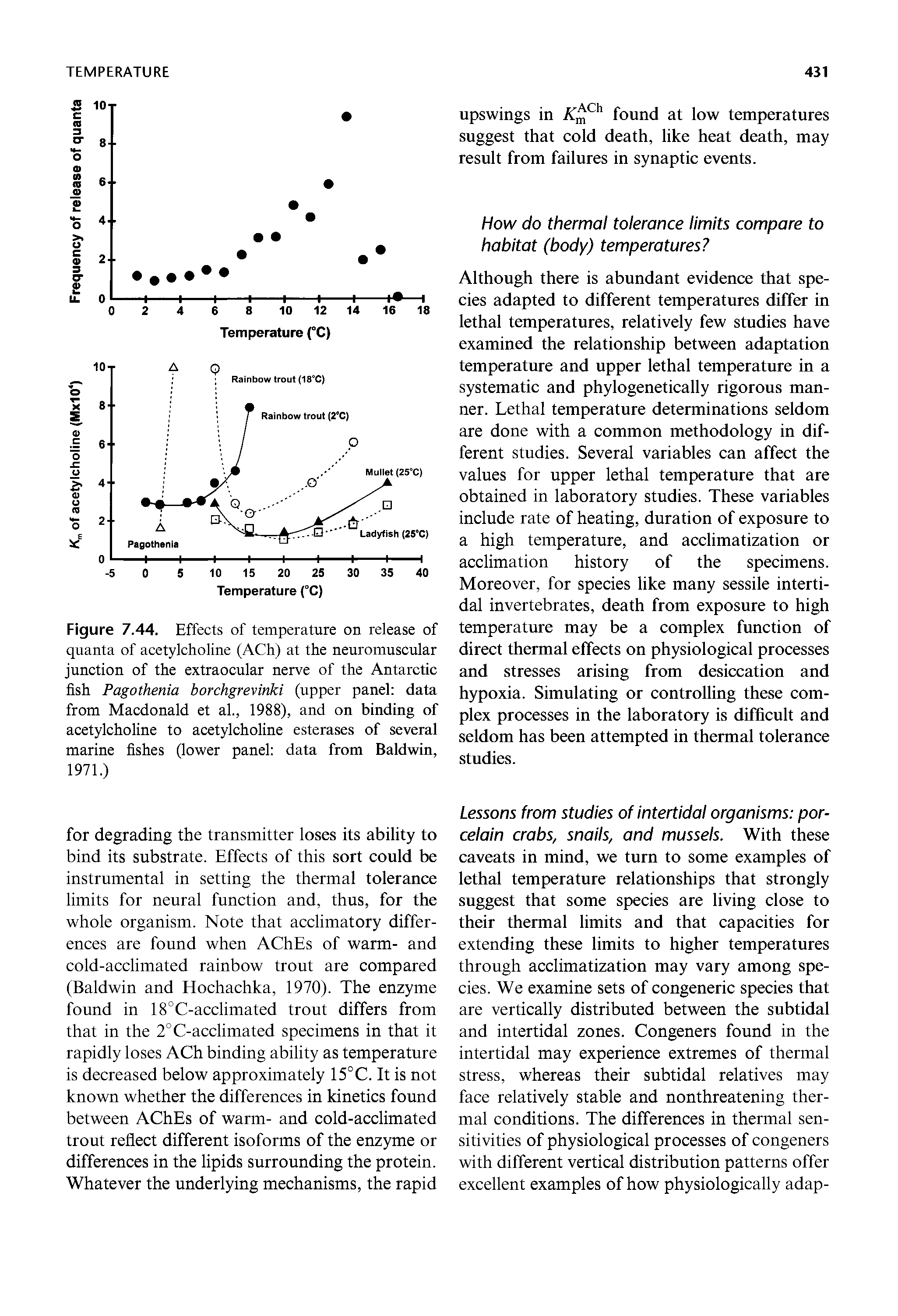 Figure 7.44. Effects of temperature on release of quanta of acetylcholine (ACh) at the neuromuscular junction of the extraocular nerve of the Antarctic fish Pagothenia borchgrevinki (upper panel data from Macdonald et al., 1988), and on binding of acetylcholine to acetylcholine esterases of several marine fishes (lower panel data from Baldwin, 1971.)...