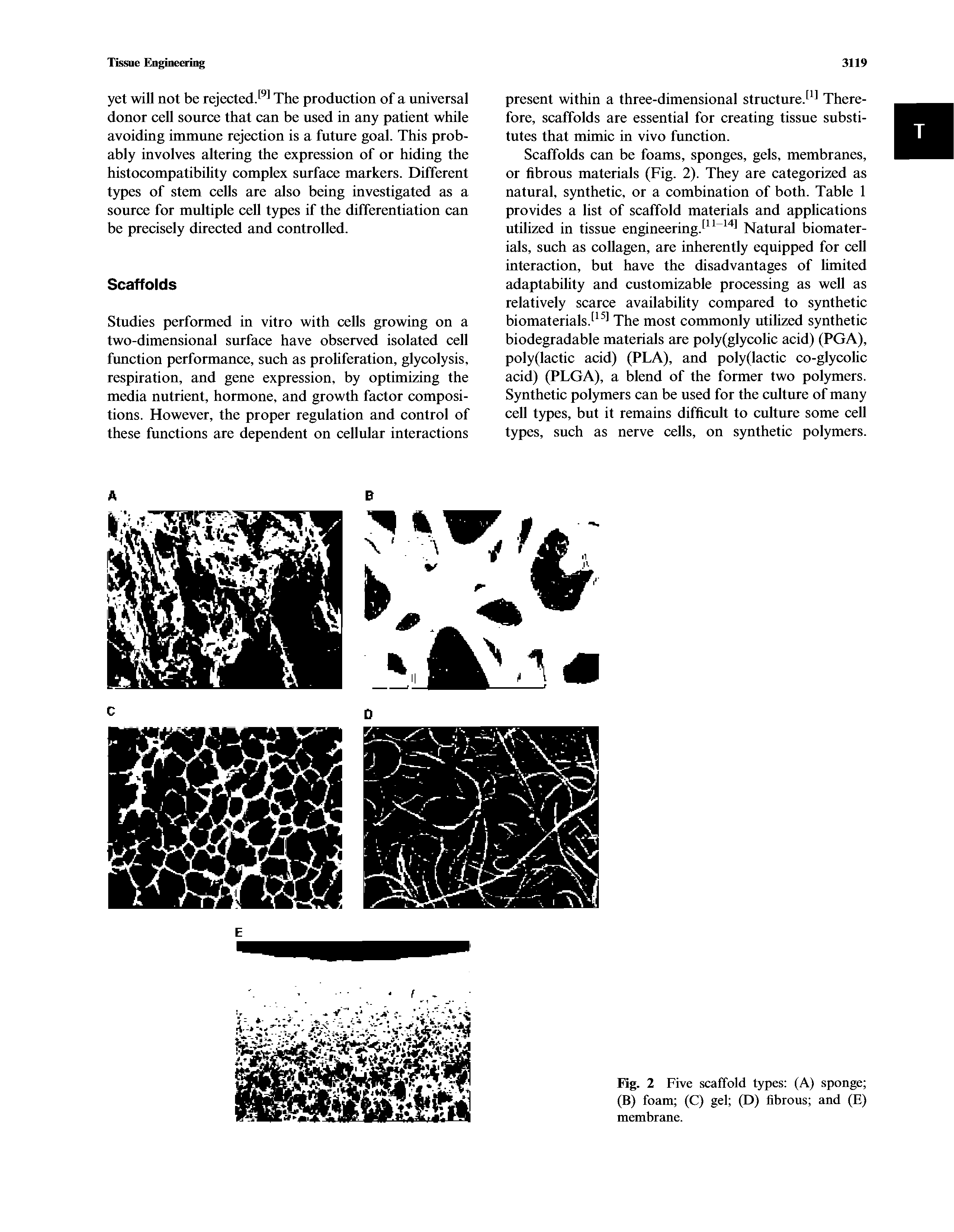 Fig. 2 Five scaffold types (A) sponge (B) foam (C) gel (D) fibrous and (E) membrane.