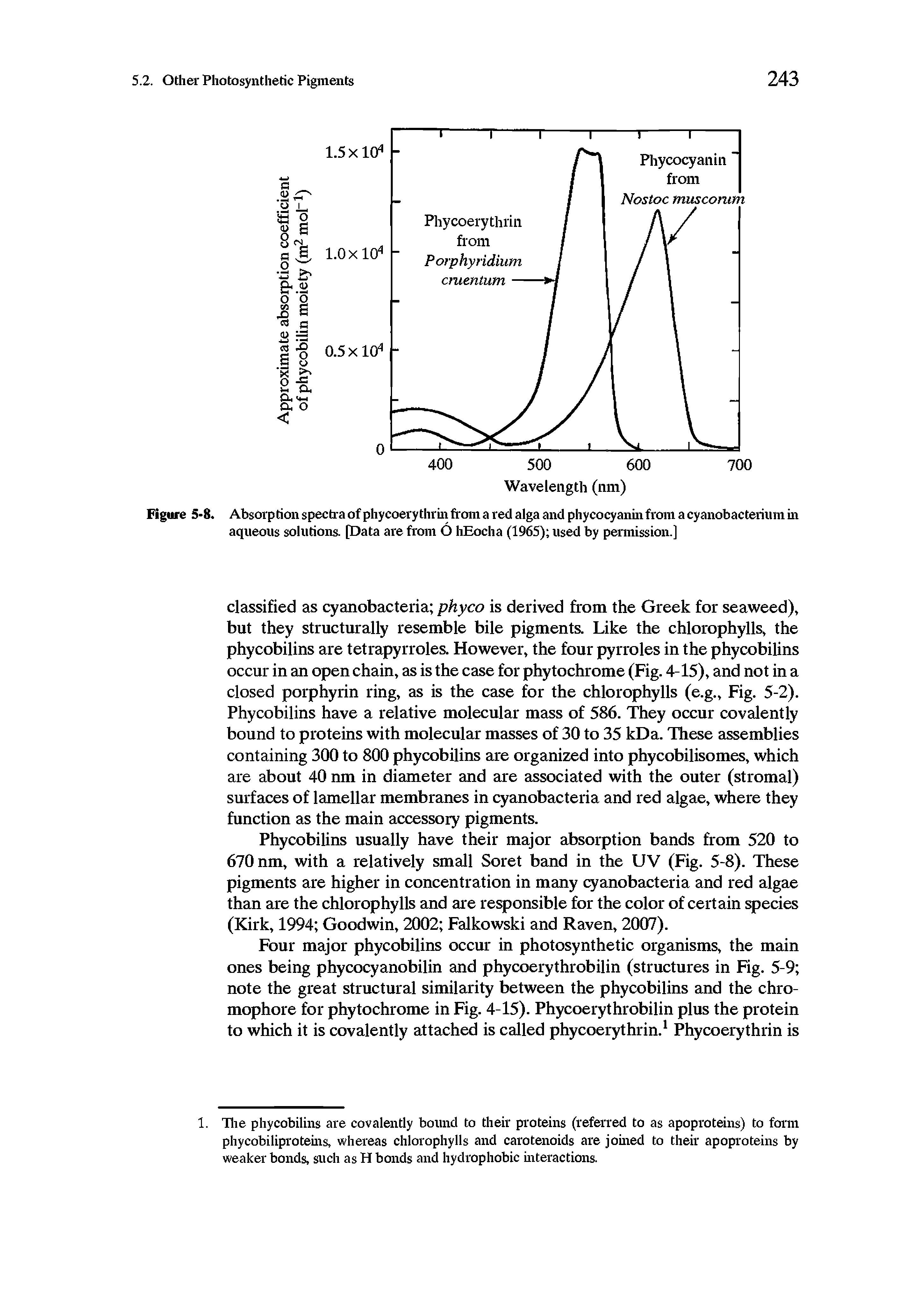 Figure 5-8. Absorp tion spectra of phycoery thrin from a red alga and phycocyanin from a cyanobacterium in aqueous solutions. [Data are from 6 hEocha (1965) used by permission.]...