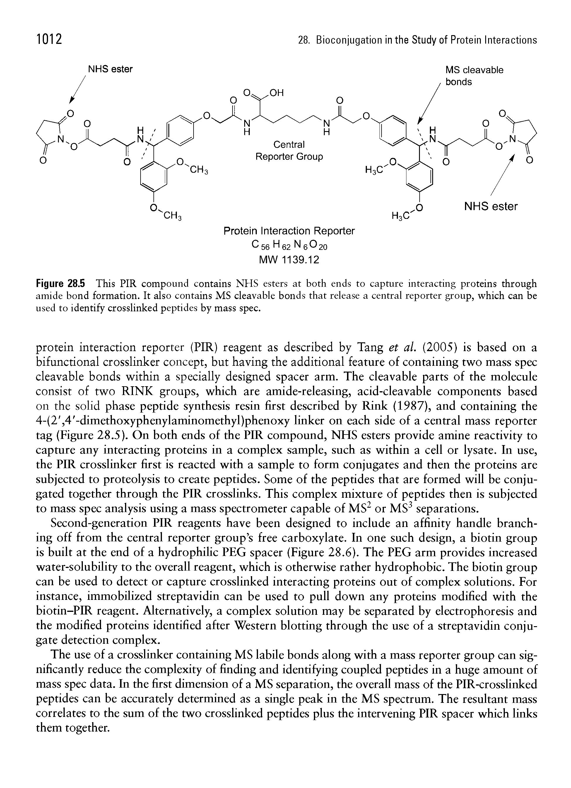 Figure 28.5 This PIR compound contains NHS esters at both ends to capture interacting proteins through amide bond formation. It also contains MS cleavable bonds that release a central reporter group, which can be used to identify crosslinked peptides by mass spec.