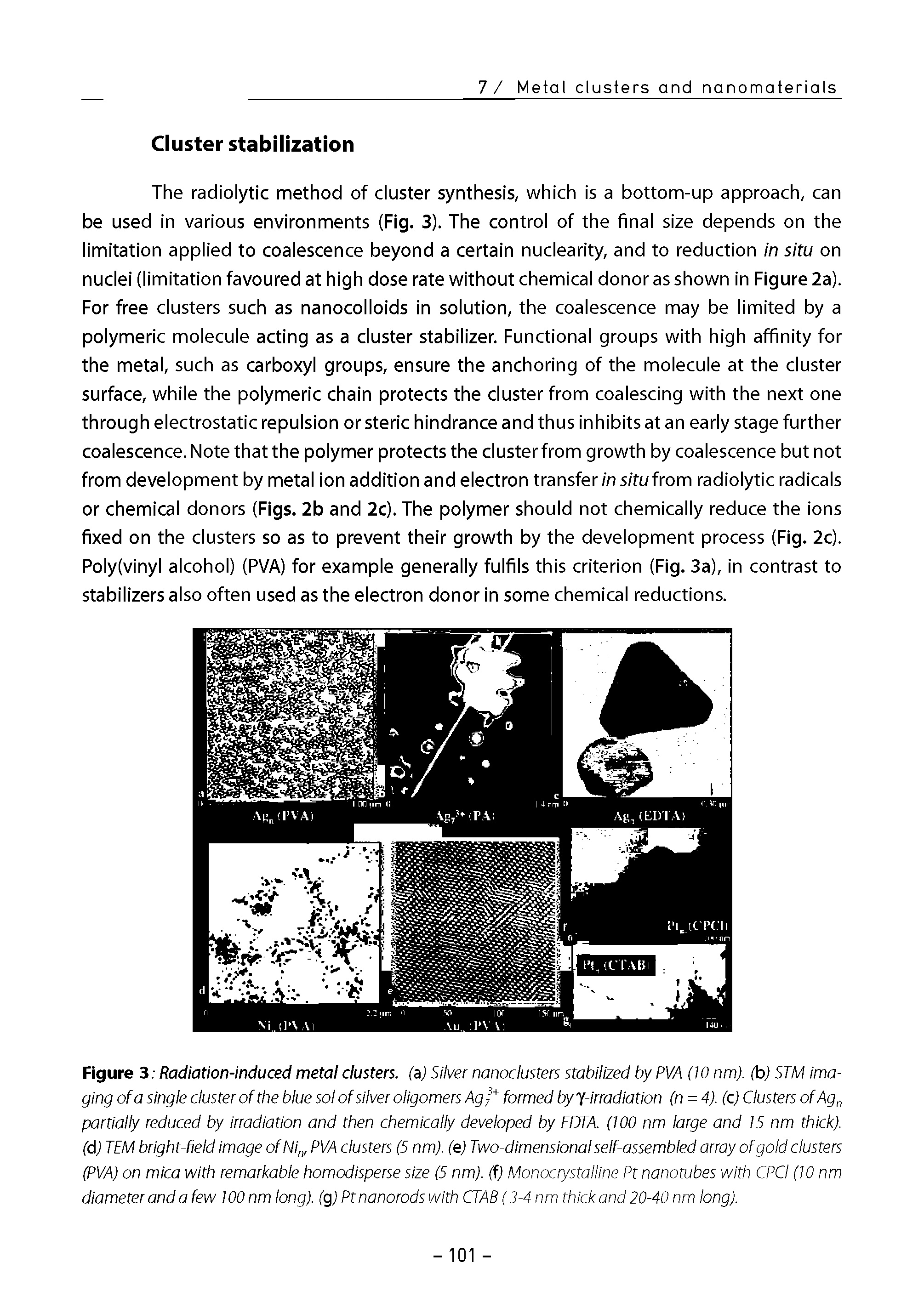Figure 3 Radiation-induced metal clusters, (a) Silver nanoclusters stabilized by PVA (10 nm). (b) STM imaging ofa single duster of the blue sol of silver oligomers Agd formed by y irradiation (n = 4). (c) Clusters ofAg, partially reduced by irradiation and then chemically developed by EDTA. (100 nm large and 15 nm thick), (d) TEM bright-held Image ofNi , PVA clusters (5 nm). (e) Two-dimensional self-assembled array of gold dusters (PVA) on mica with remarkable homodisperse size (5 nm). (f) Monocrystalline Pt nanotubes with CPCI (10 nm diameter and a few 100 nm long), (g) Pt nanorods with CTAB (3-4 nm thick and 20-40 nm long).
