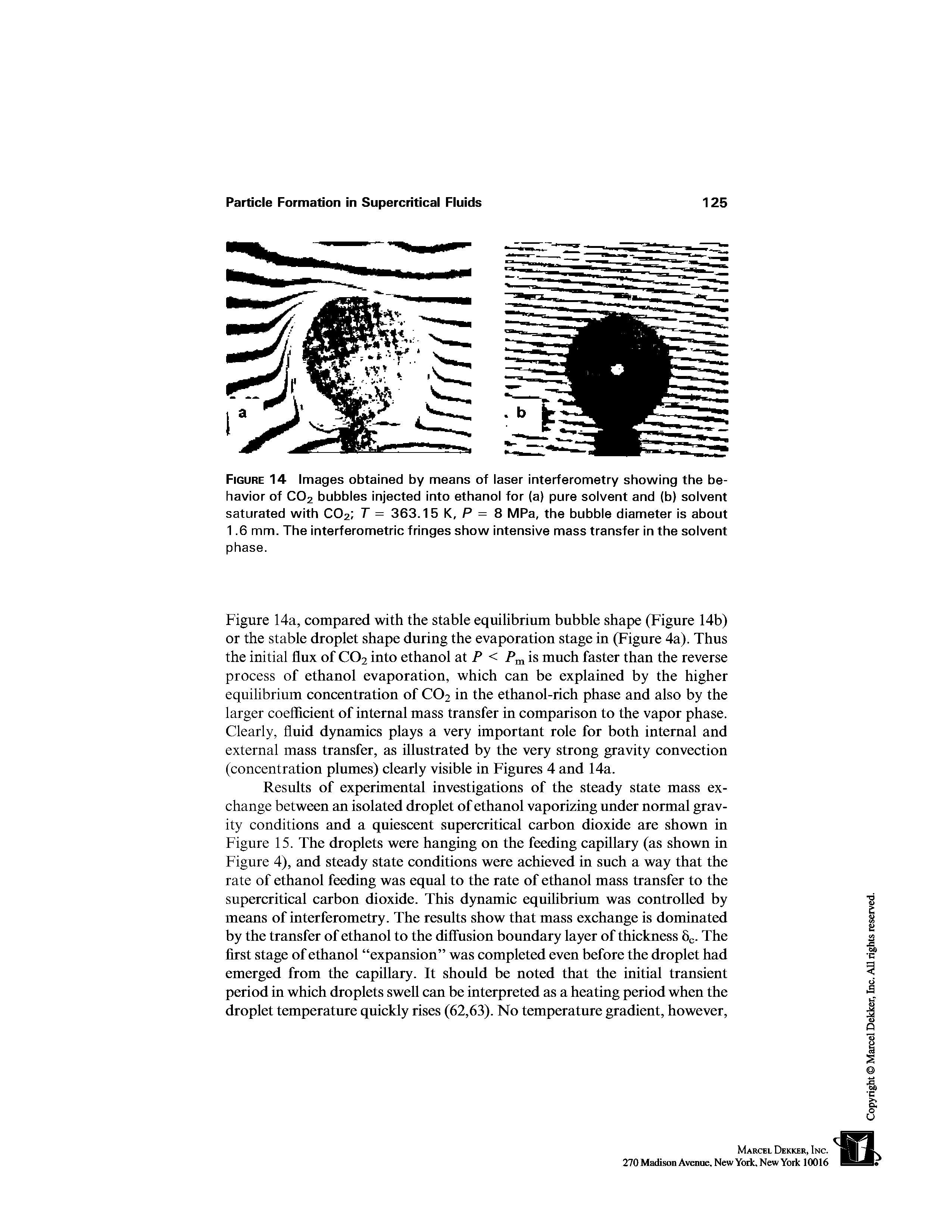 Figure 14a, compared with the stable equilibrium bubble shape (Figure 14b) or the stable droplet shape during the evaporation stage in (Figure 4a). Thus the initial flux of CO2 into ethanol at P < Pm is much faster than the reverse process of ethanol evaporation, which can be explained by the higher equilibrium concentration of CO2 in the ethanol-rich phase and also by the larger coefficient of internal mass transfer in comparison to the vapor phase. Clearly, fluid dynamics plays a very important role for both internal and external mass transfer, as illustrated by the very strong gravity convection (concentration plumes) clearly visible in Figures 4 and 14a.