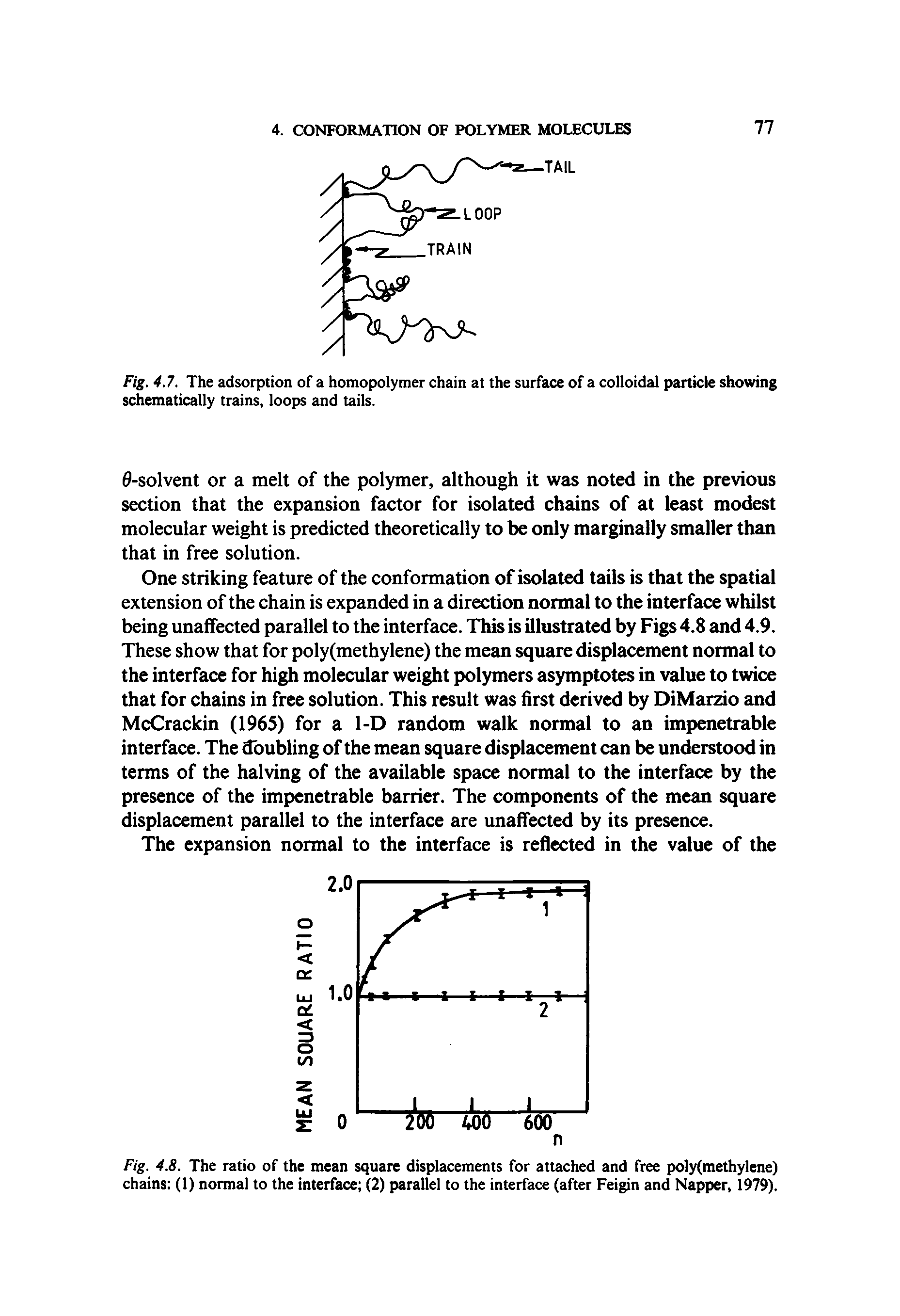 Fig. 4.8. The ratio of the mean square displacements for attached and free poly(methylene) chains (1) normal to the interface (2) parallel to the interface (after Feigin and Napper, 1979).
