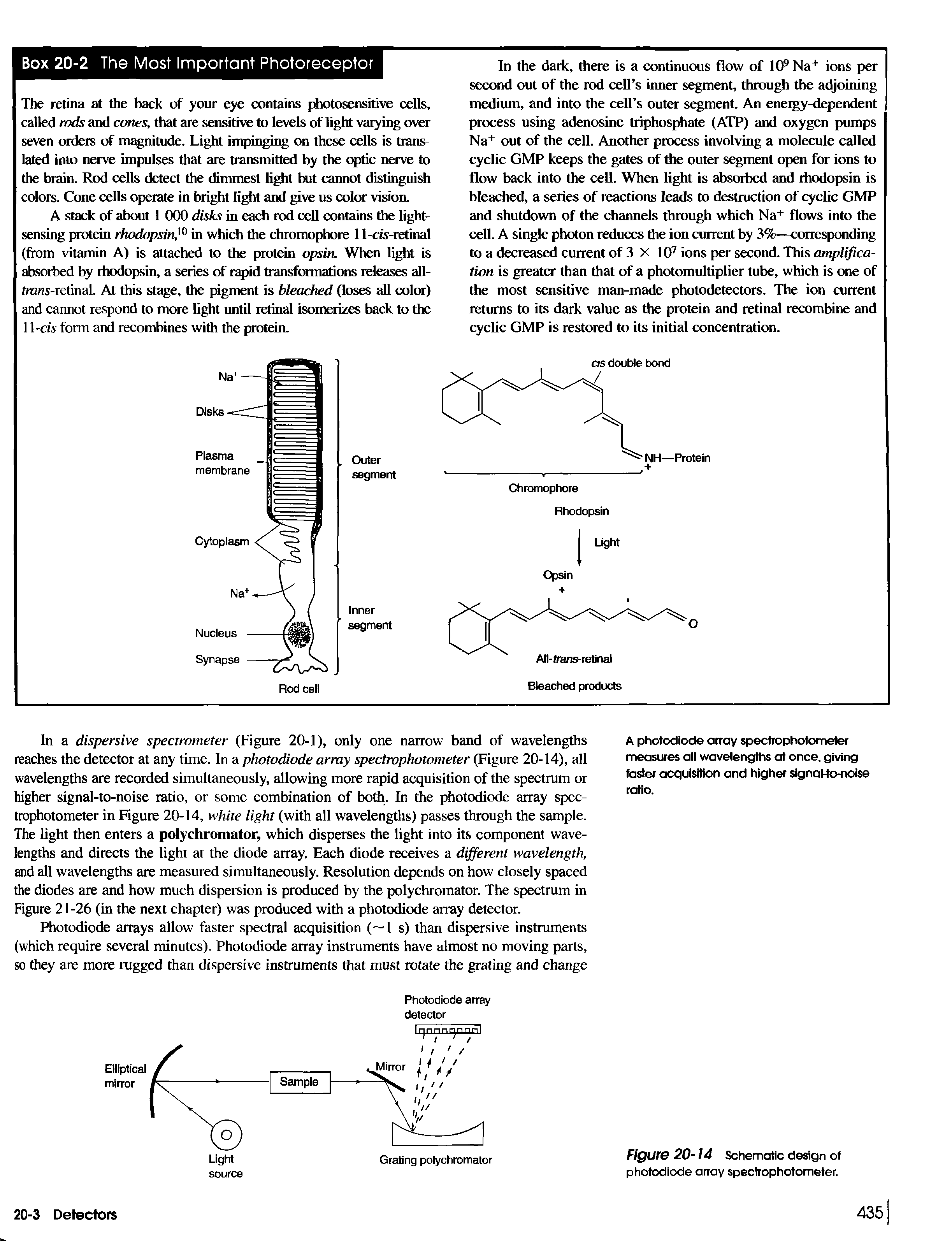 Figure 20-14 Schematic design of photodiode array spectrophotometer.