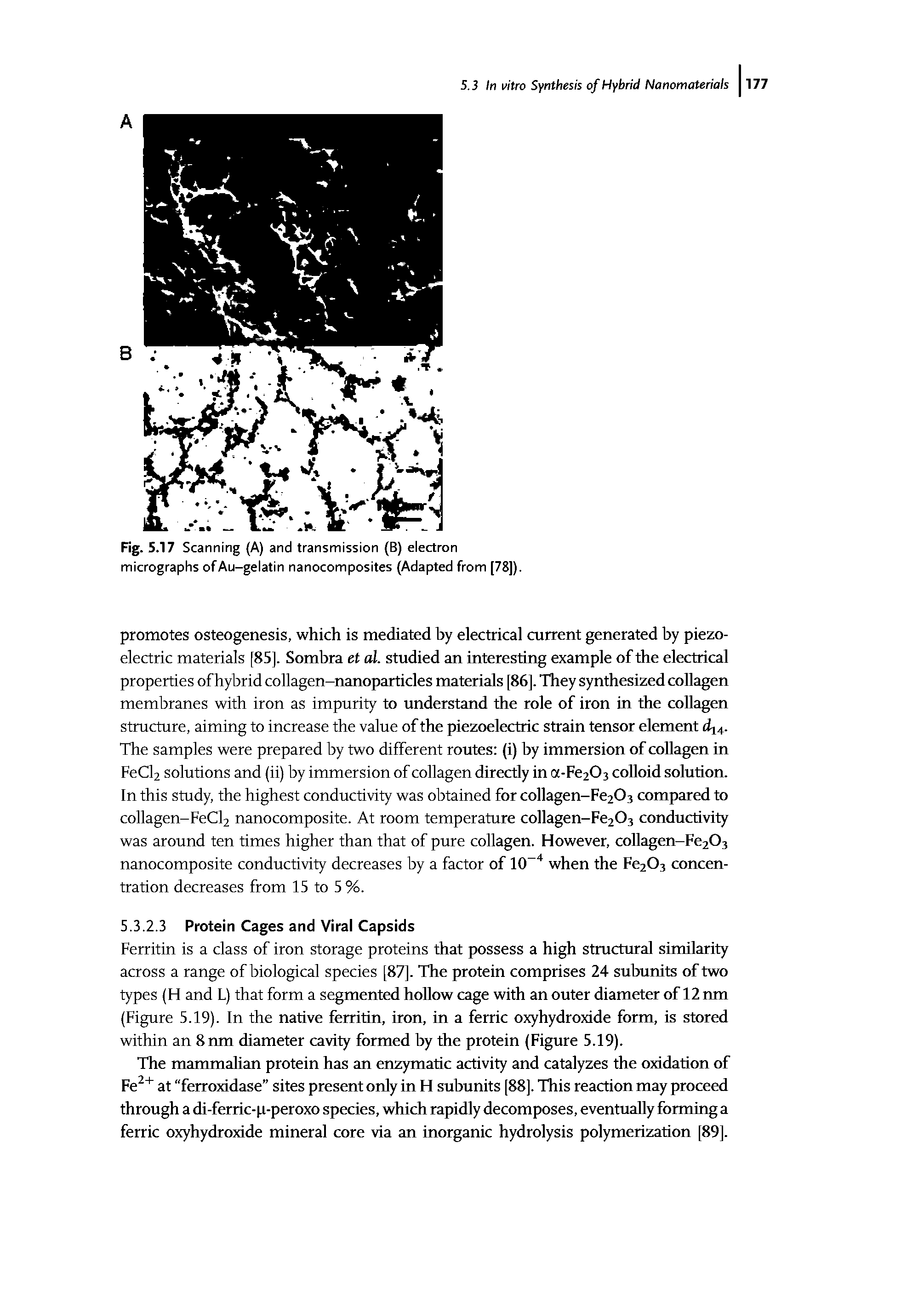Fig. 5.17 Scanning (A) and transmission (B) electron micrographs of Au-gelatin nanocomposites (Adapted from [78]).