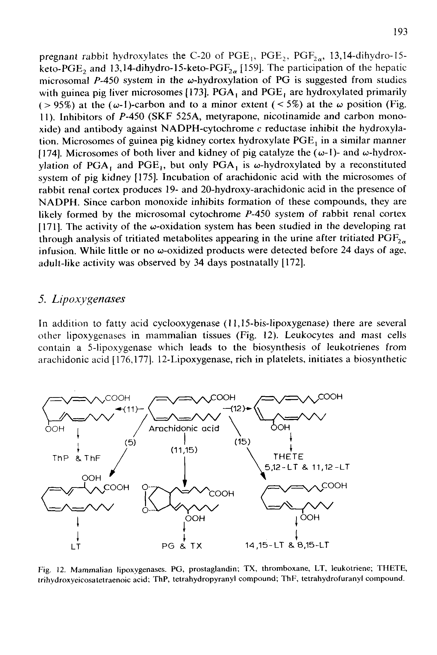 Fig. 12. Mammalian lipoxygenases. PG, prostaglandin TX, thromboxane, LT, leukoiriene THETE, trihydroxyeico.satetraenoic acid ThP, tetrahydropyranyl compound ThF, tetrahydrofuranyl compound.