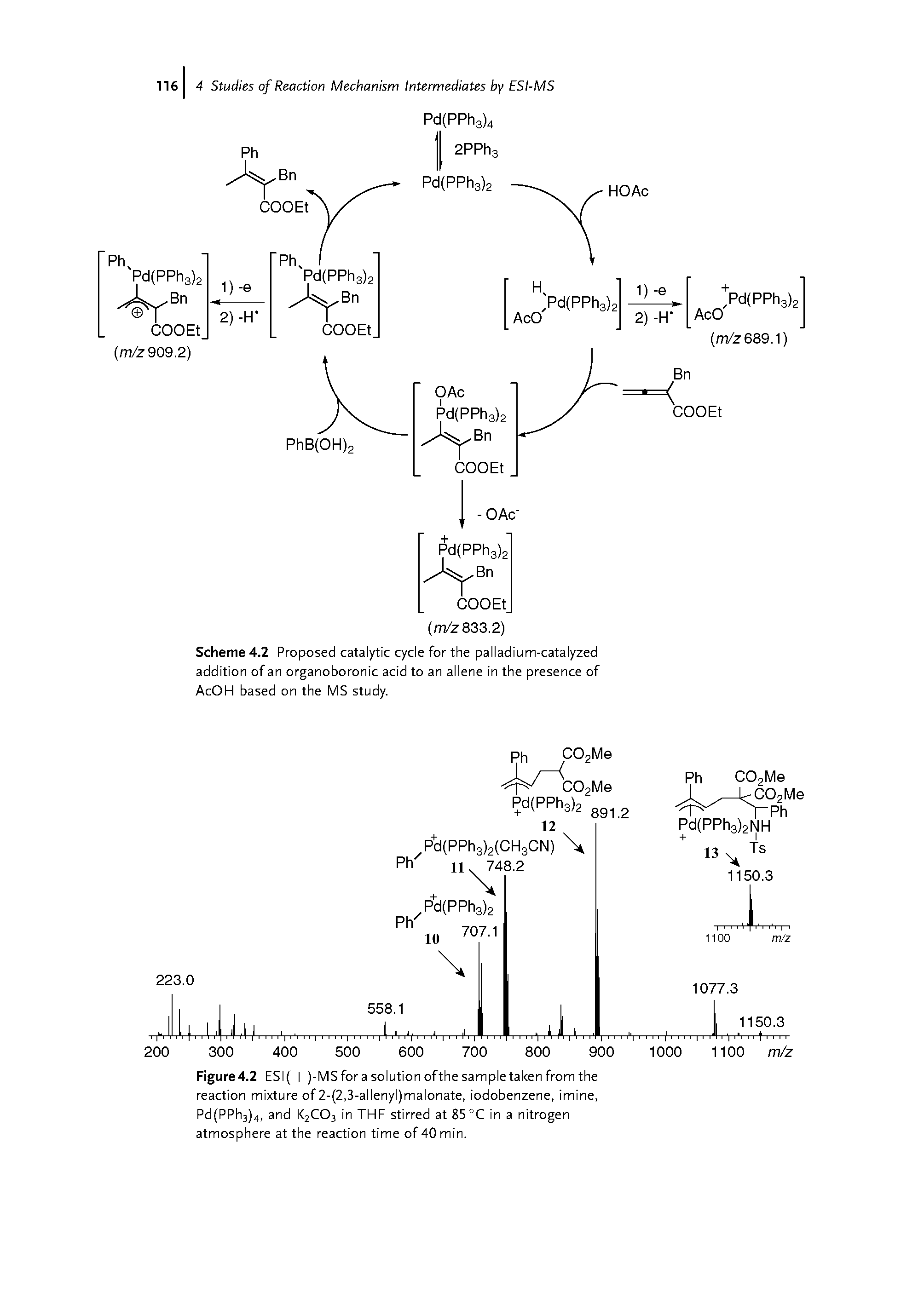 Figure4.2 ESI( + )-MS for a solution ofthe sample taken from the reaction mixture of 2-(2,3-allenyl)malonate, iodobenzene, imine, Pd(PPh3)4, and K2CO3 in THF stirred at85°C in a nitrogen atmosphere at the reaction time of 40 min.