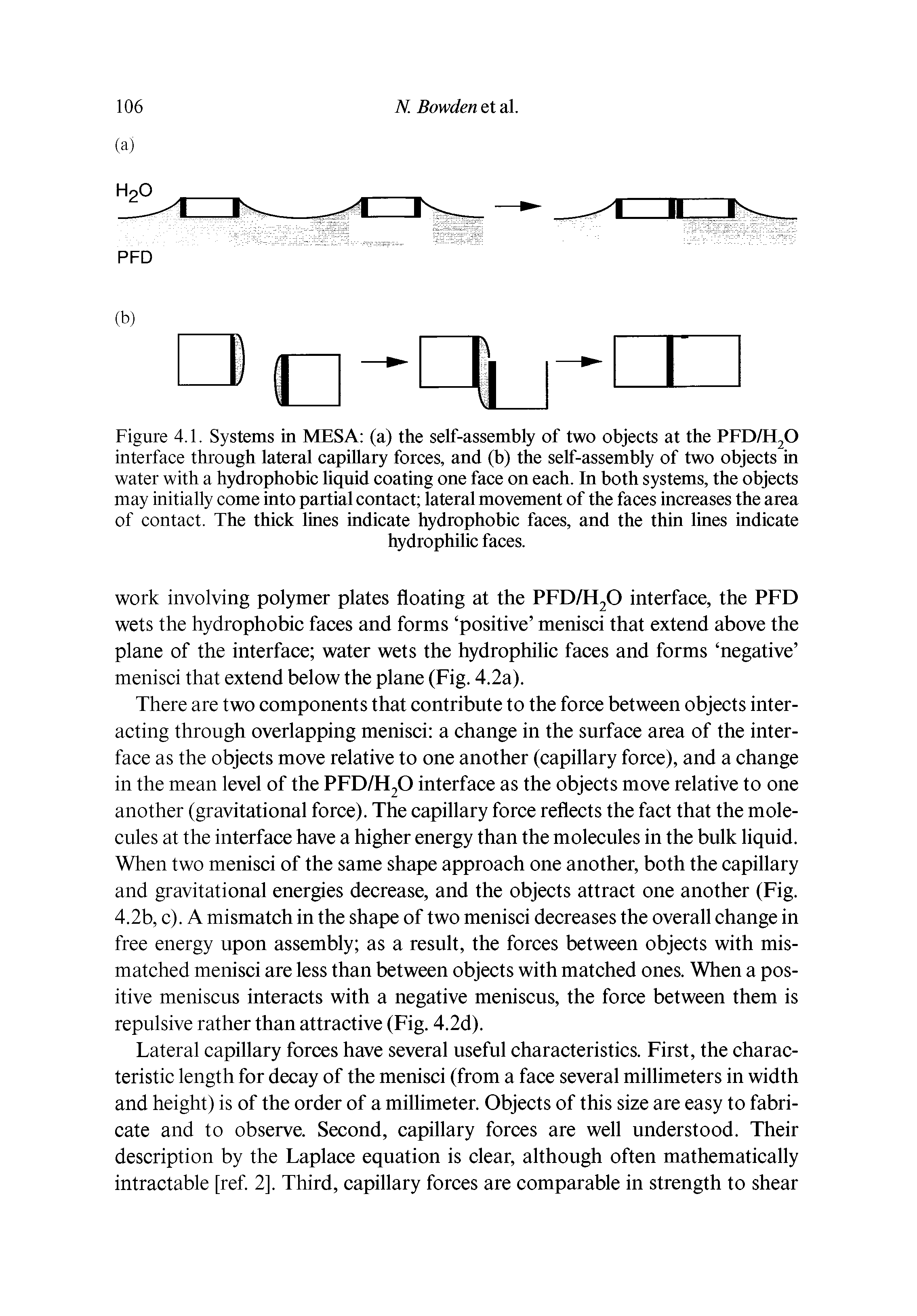 Figure 4.1. Systems in MESA (a) the self-assembly of two objects at the PFD/H20 interface through lateral capillary forces, and (b) the self-assembly of two objects in water with a hydrophobic liquid coating one face on each. In both systems, the objects may initially come into partial contact lateral movement of the faces increases the area of contact. The thick lines indicate hydrophobic faces, and the thin lines indicate...