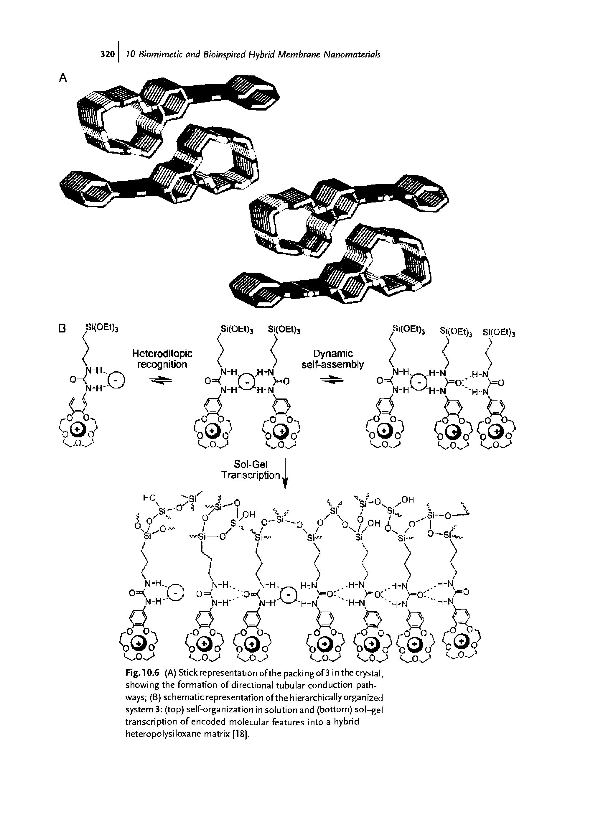 Fig. 10.6 (A) Stick representation of the packing of 3 in the crystal, showing the formation of directional tubular conduction pathways (B) schematic representation ofthe hierarchically organized system 3 (top) self-organization in solution and (bottom) sol-gel transcription of encoded molecular features into a hybrid heteropolysiloxane matrix [18].