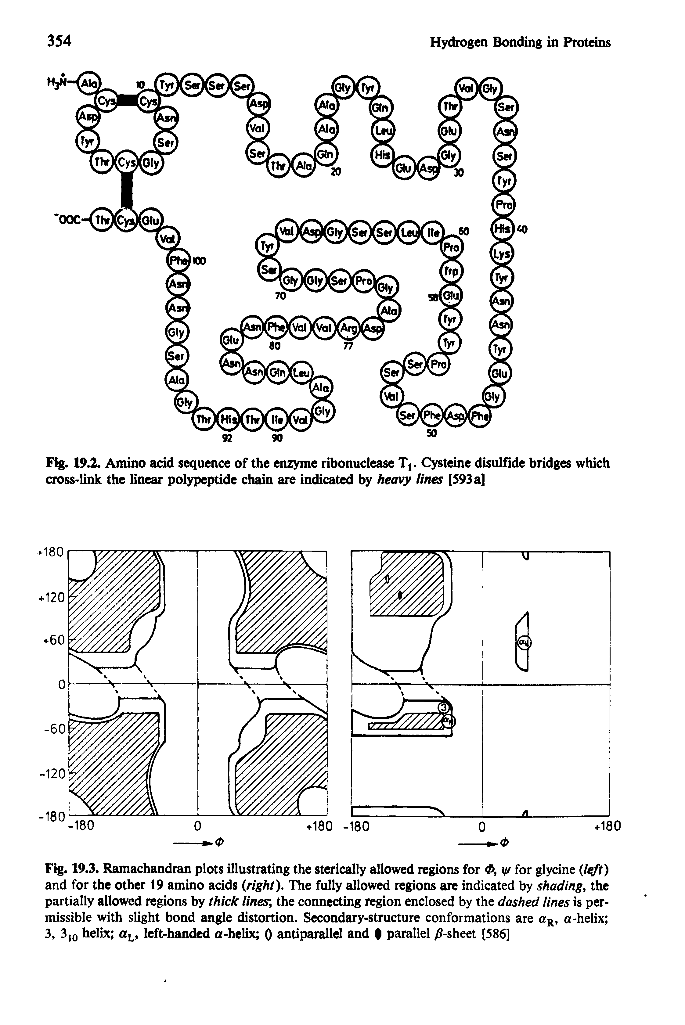 Fig. 19.3. Ramachandran plots illustrating the sterically allowed regions for d>, y/ for glycine (left) and for the other 19 amino acids (right). The fully allowed regions are indicated by shading, the partially allowed regions by thick lines, the connecting region enclosed by the dashed lines is permissible with slight bond angle distortion. Secondary-structure conformations are aR, a-helix 3, 3,0 helix aL, left-handed a-helix 0 antiparallel and parallel yff-sheet [586]...