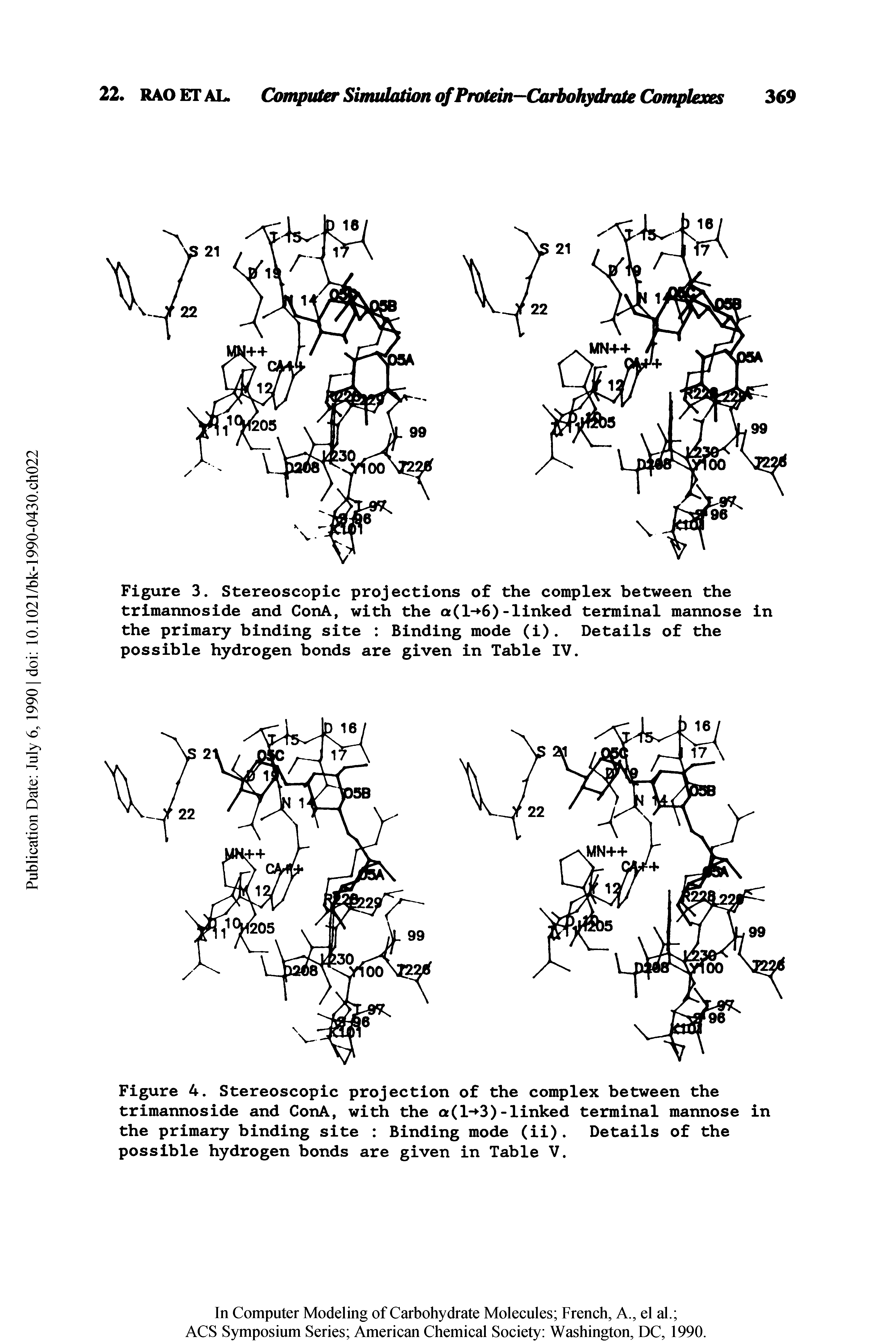Figure 3. Stereoscopic projections of the complex between the trimannoside and ConA, with the a(l- 6)-linked terminal mannose in the primary binding site Binding mode (i). Details of the possible hydrogen bonds are given in Table IV.