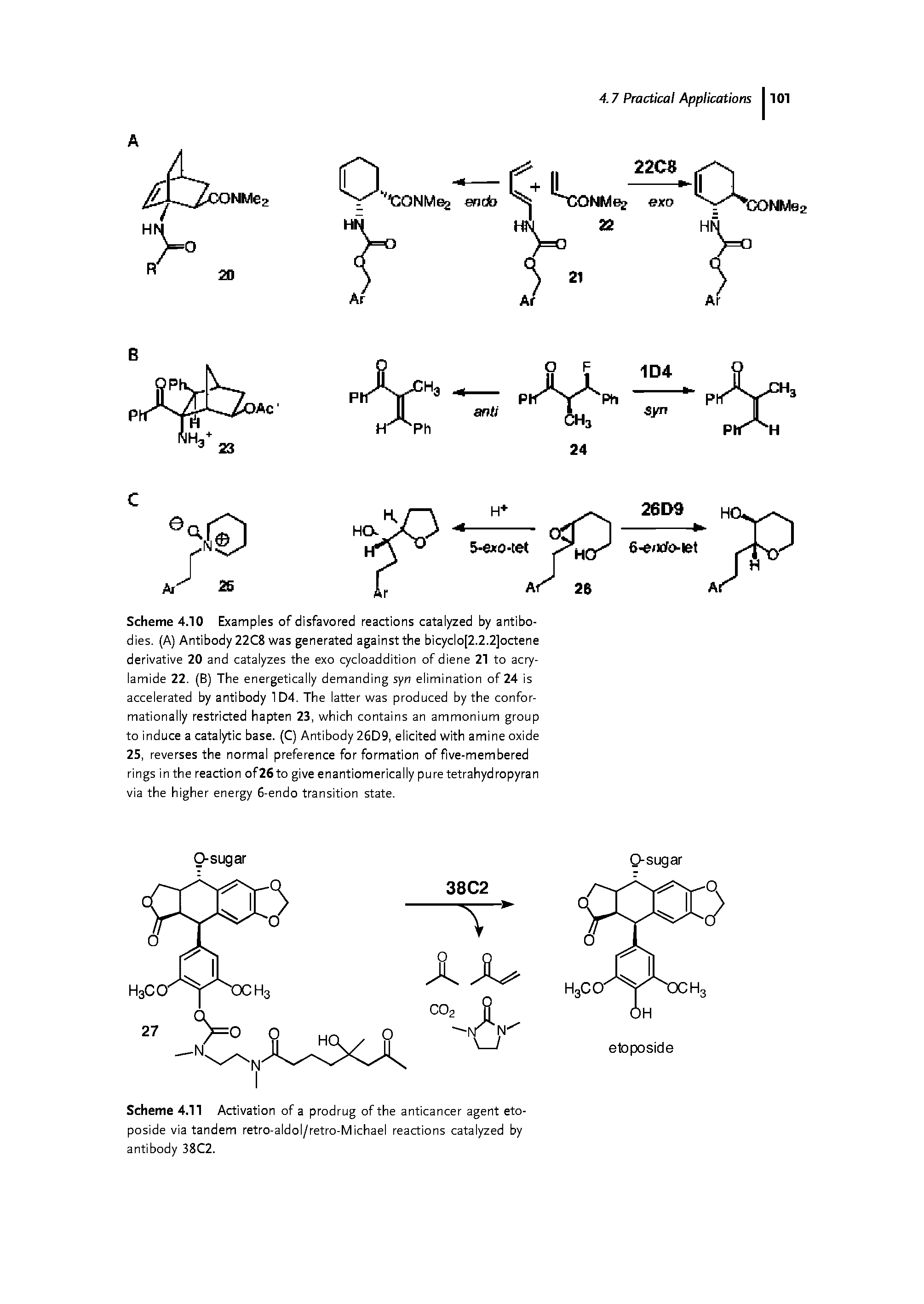 Scheme 4.11 Activation of a prodrug of the anticancer agent eto-poside via tandem retro-aldol/retro-Michael reactions catalyzed by antibody 38C2.