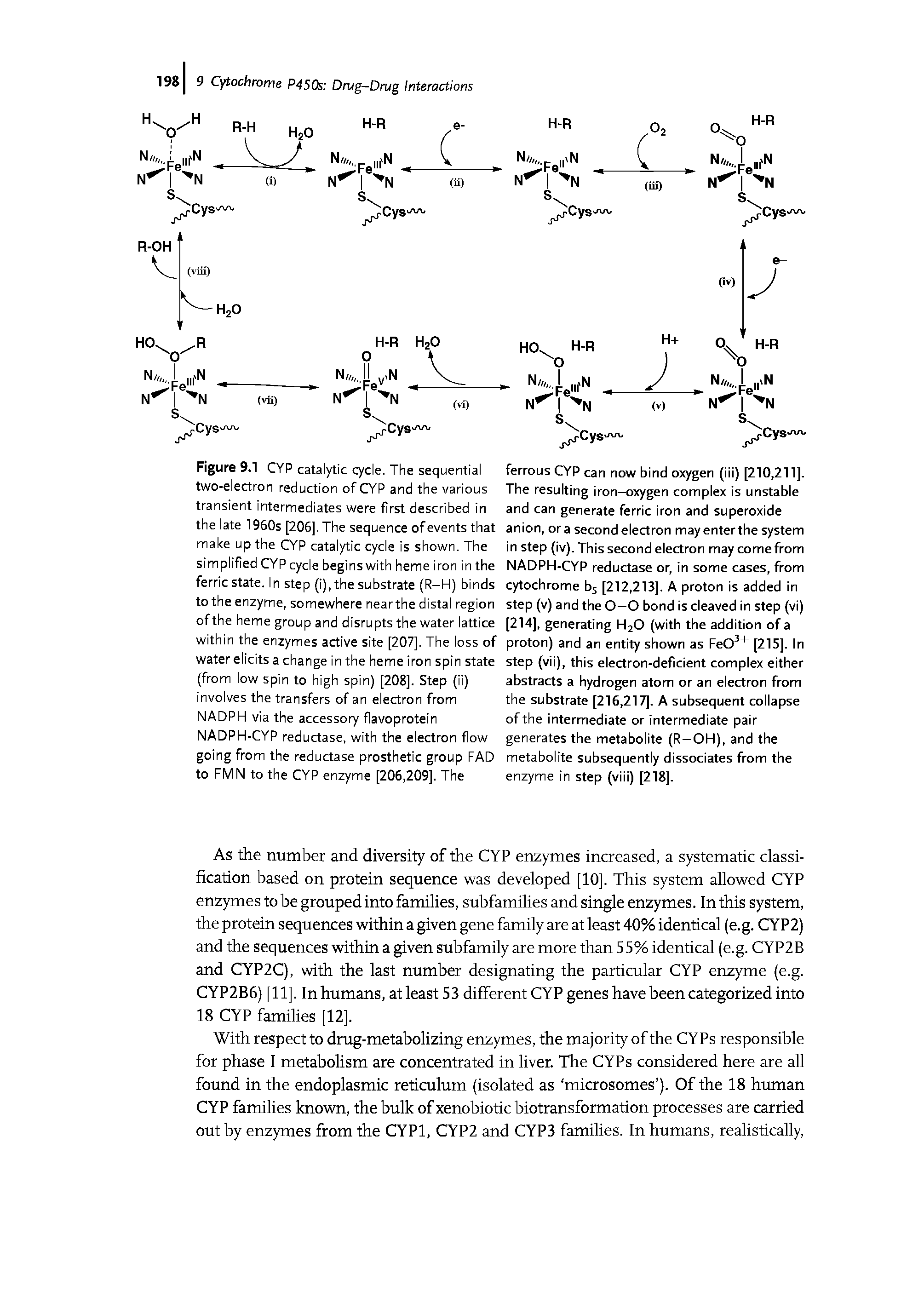 Figure 9.1 CYP catalytic cycle. The sequential two-electron reduction of CYP and the various transient intermediates were first described in the late 1960s [206], The sequence of events that make up the CYP catalytic cycle is shown. The simplified CYP cycle begins with heme iron in the ferric state. In step (i), the substrate (R—H) binds to the enzyme, somewhere nearthe distal region of the heme group and disrupts the water lattice within the enzymes active site [207], The loss of water elicits a change in the heme iron spin state (from low spin to high spin) [208]. Step (ii) involves the transfers of an electron from NADPH via the accessory flavoprotein NADPH-CYP reductase, with the electron flow going from the reductase prosthetic group FAD to FMN to the CYP enzyme [206,209]. The...