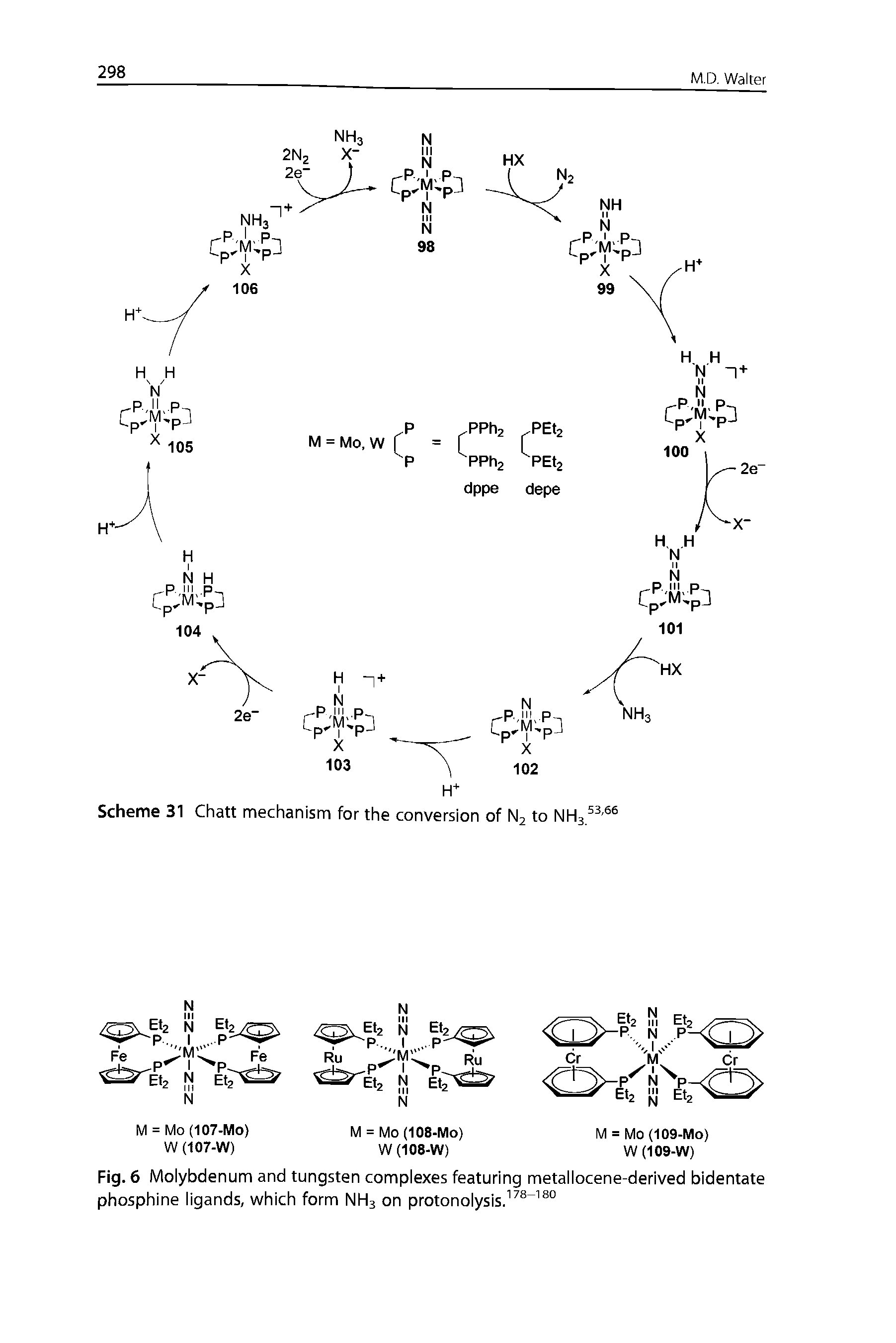 Fig. 6 Molybdenum and tungsten complexes featuring metallocene-derived bidentate phosphine ligands, which form NH3 on protonolysis. ...