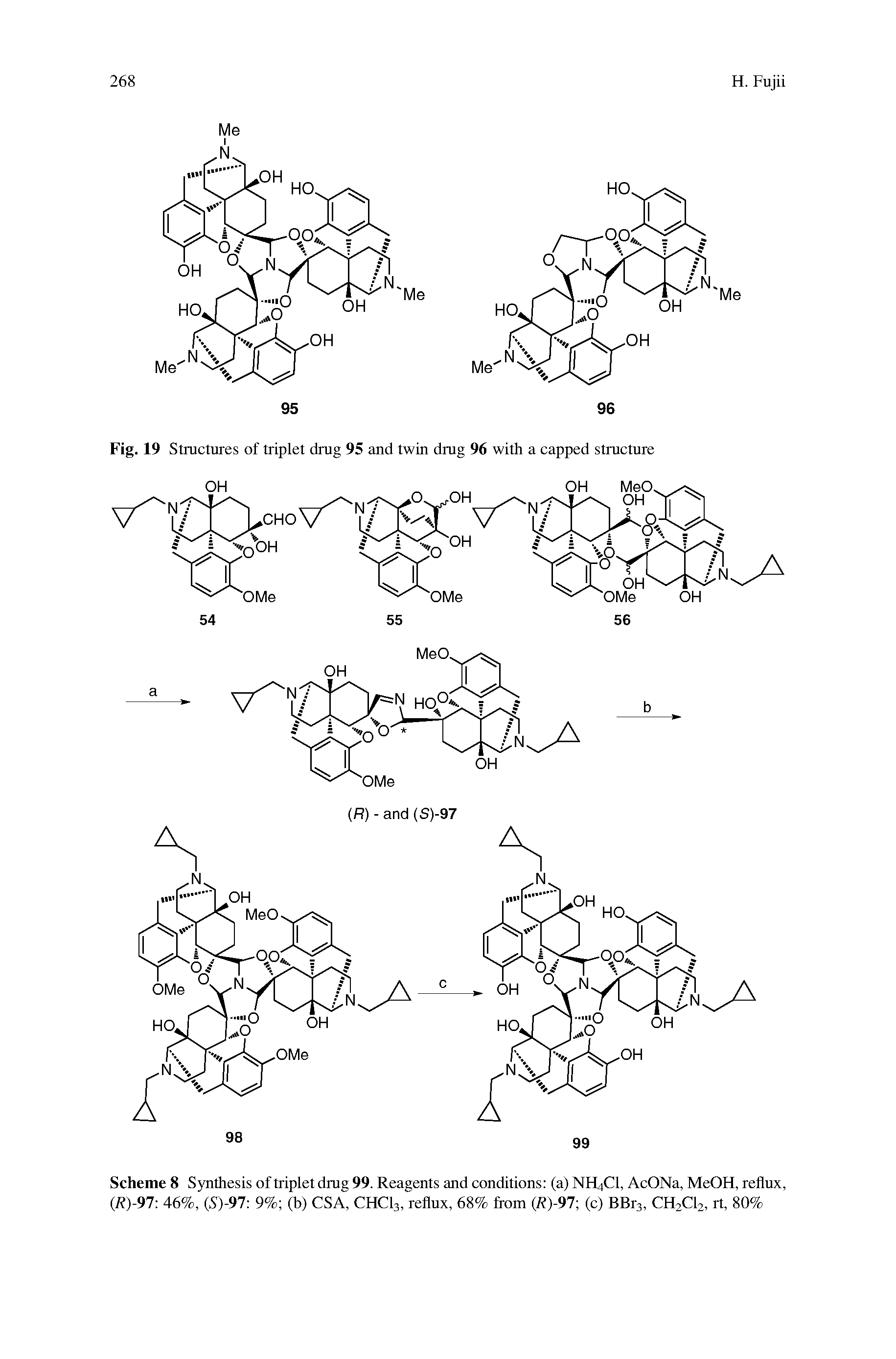 Fig. 19 Structures of triplet drug 95 and twin drug 96 with a capped structure...