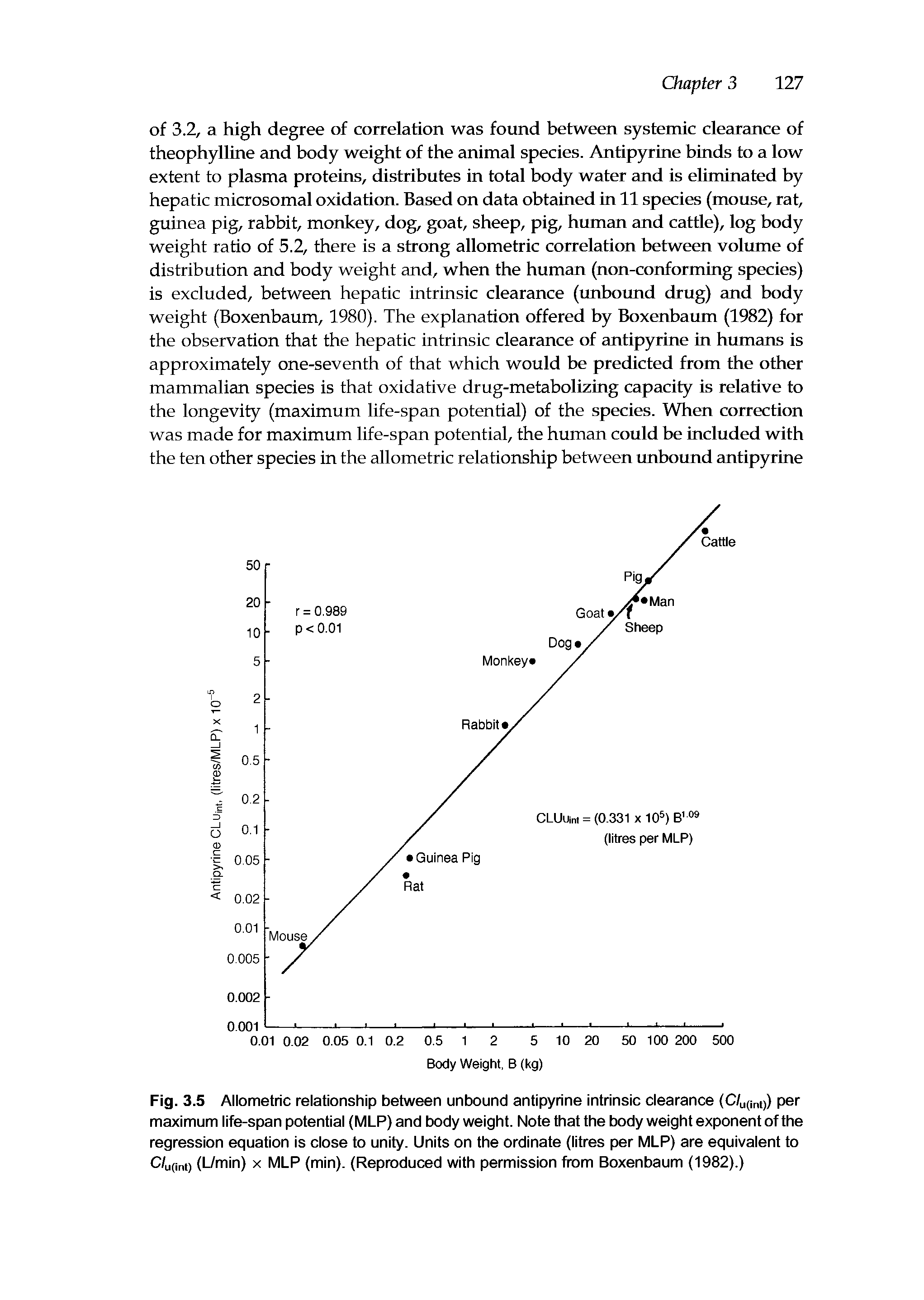 Fig. 3.5 Allometric relationship between unbound antipyrine intrinsic clearance (C/U(int)) per maximum life-span potential (MLP) and body weight. Note that the body weight exponent of the regression equation is close to unity. Units on the ordinate (litres per MLP) are equivalent to C/U(int) (L/min) x MLP (min). (Reproduced with permission from Boxenbaum (1982).)...