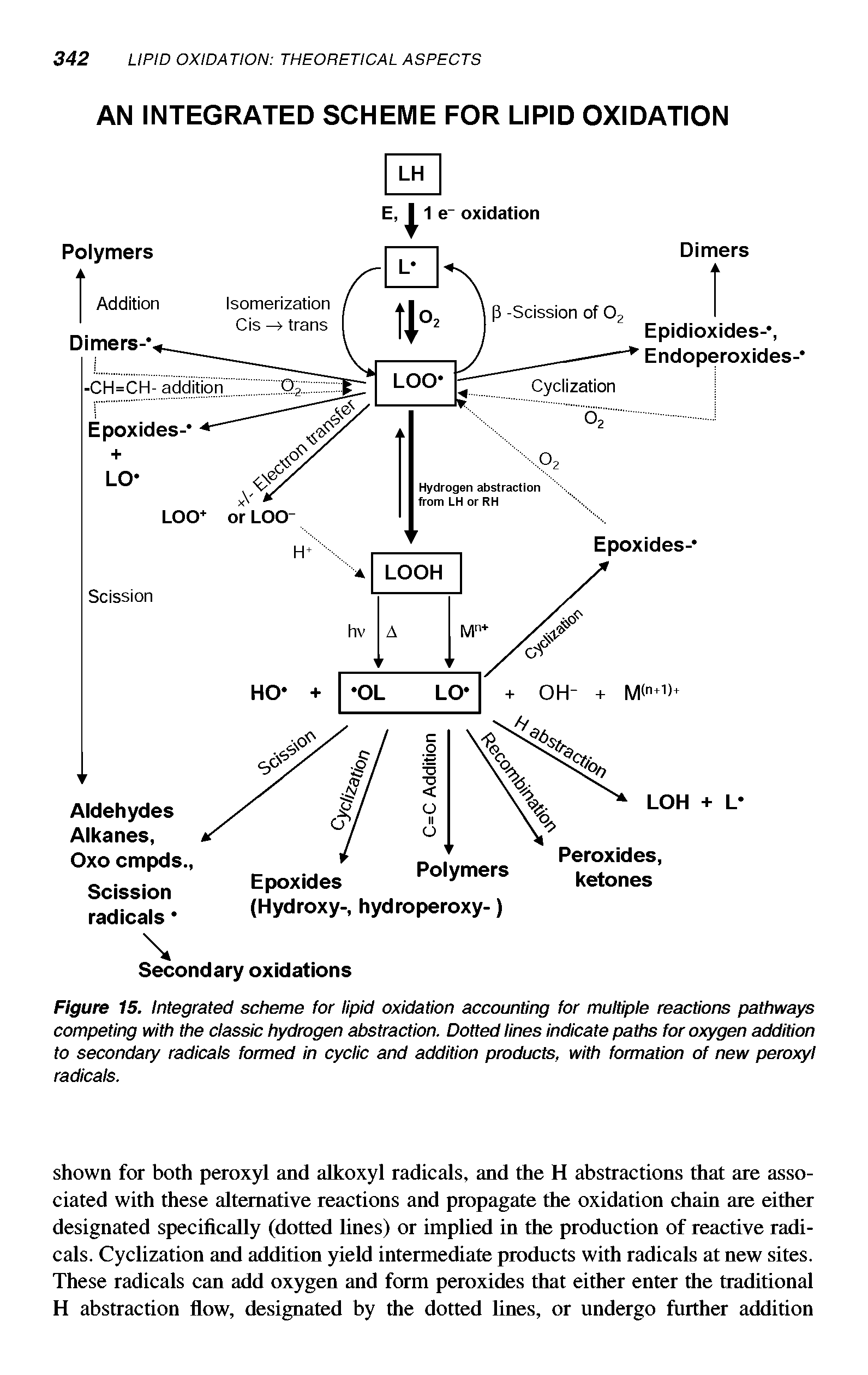 Figure 15. Integrated scheme for lipid oxidation accounting for multiple reactions pathways competing with the classic hydrogen abstraction. Dotted lines indicate paths for oxygen addition to secondary radicals formed in cyclic and addition products, with formation of new peroxyl radicals.