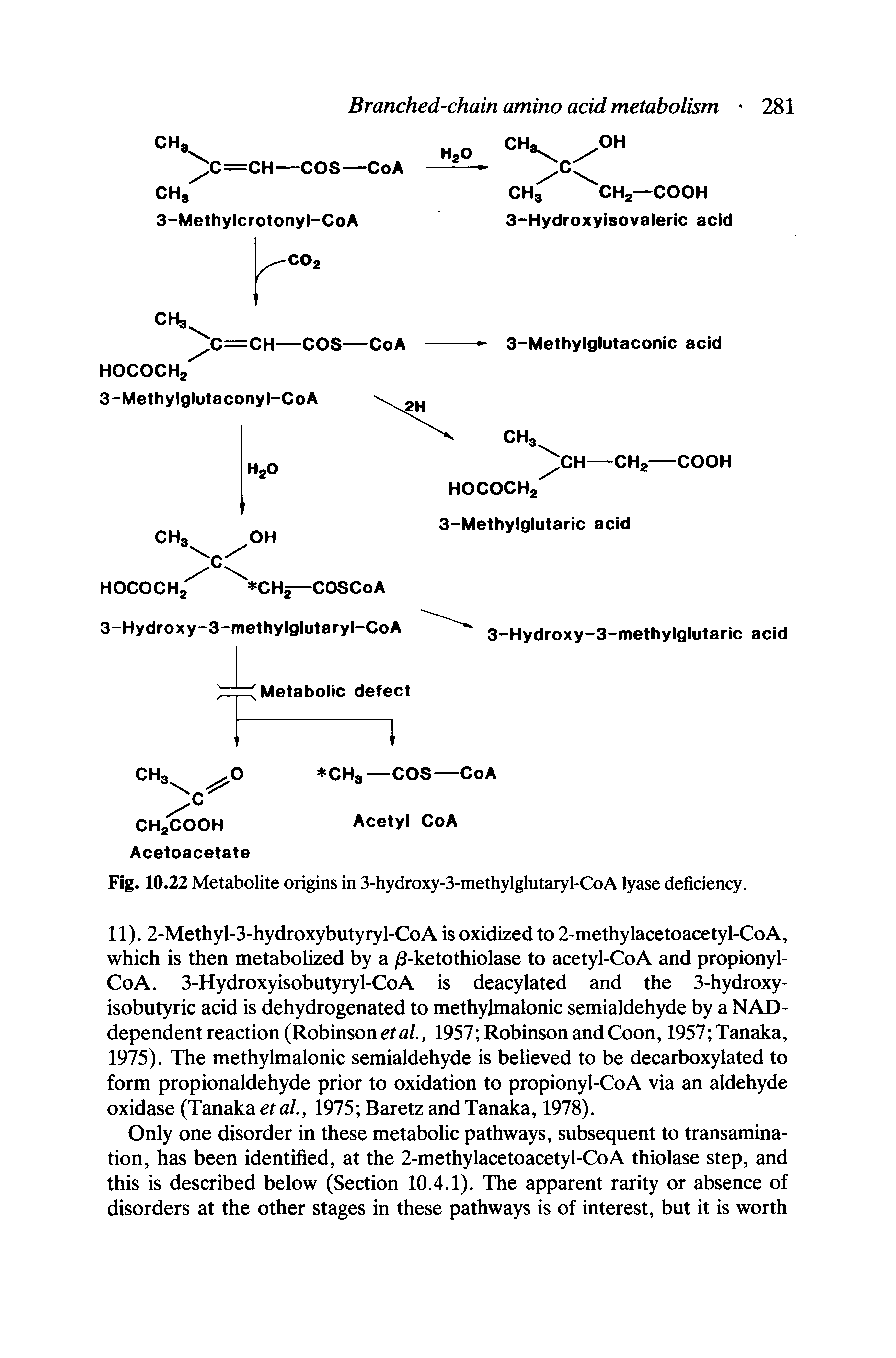 Fig. 10.22 Metabolite origins in 3-hydroxy-3-methylglutaryl-CoA lyase deficiency.