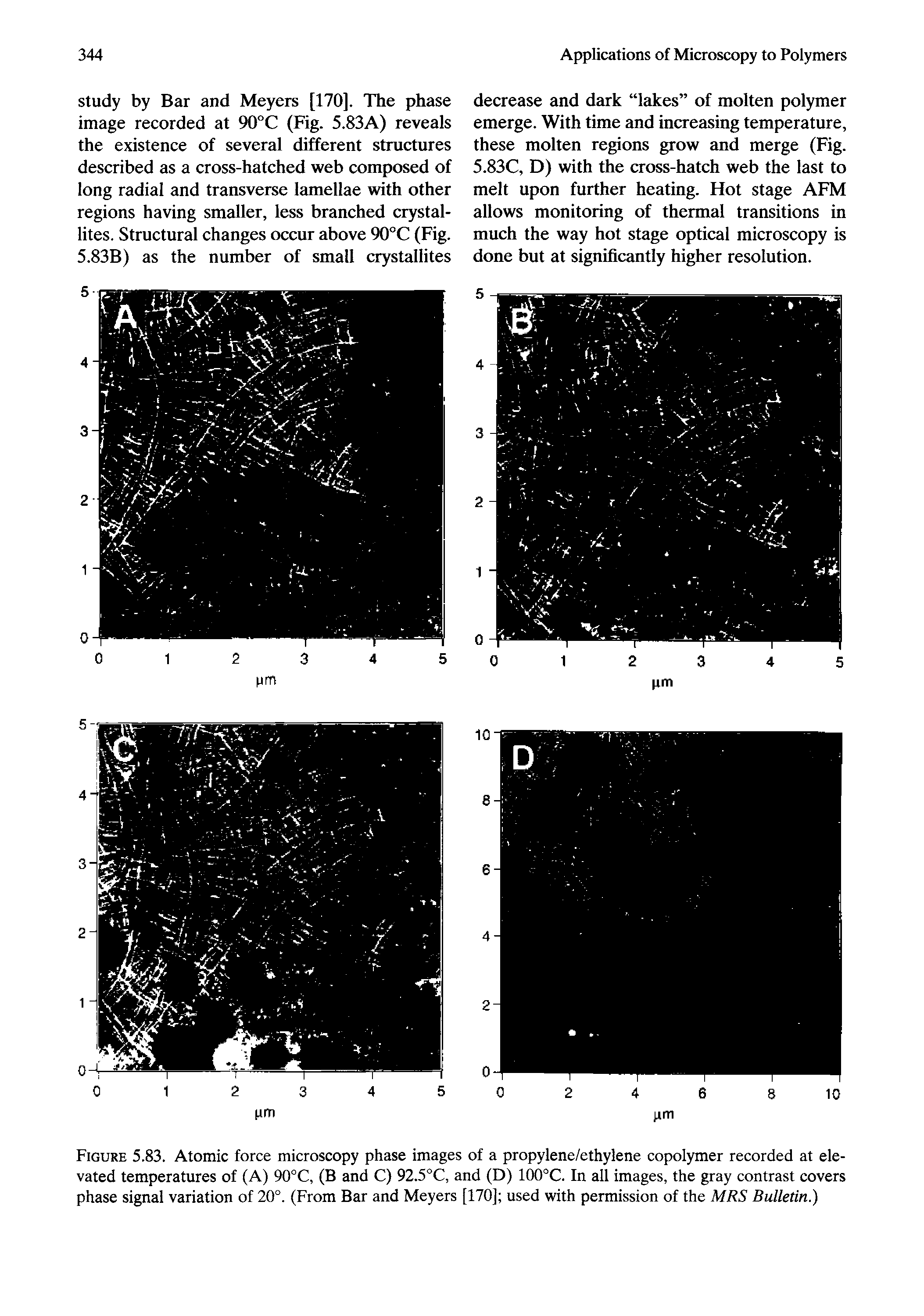 Figure 5.83. Atomic force microscopy phase images of a propylene/ethylene copolymer recorded at elevated temperatures of (A) 90°C, (B and C) 92.5°C, and (D) 100°C. In all images, the gray contrast covers phase signal variation of 20°. (From Bar and Meyers [170] used with permission of the MRS Bulletin.)...