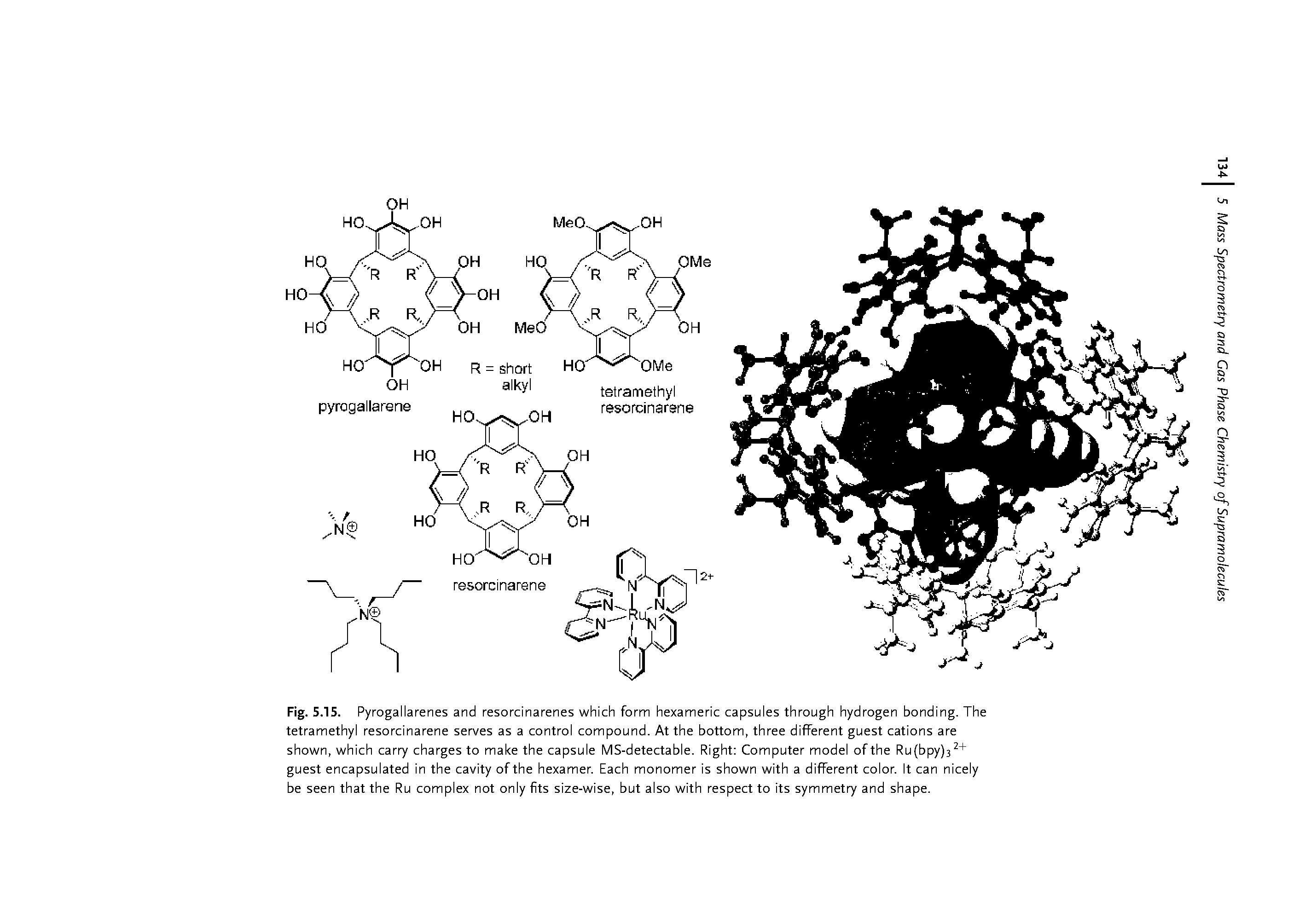 Fig. 5.15. Pyrogallarenes and resorcinarenes which form hexameric capsules through hydrogen bonding. The tetramethyl resorcinarene serves as a control compound. At the bottom, three different guest cations are shown, which carry charges to make the capsule MS-detectable. Right Computer model of the Ru(bpy)32 guest encapsulated in the cavity of the hexamer. Each monomer is shown with a different color. It can nicely be seen that the Ru complex not only fits size-wise, but also with respect to its symmetry and shape.